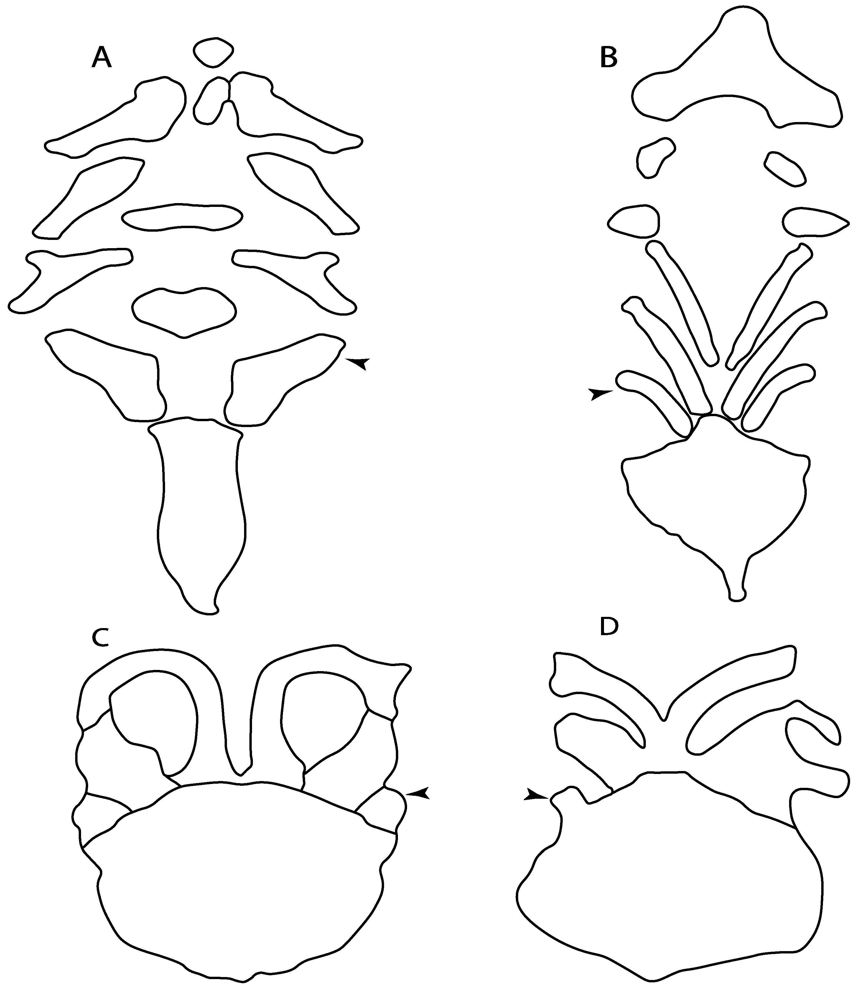 Diversity 14 00456 g025