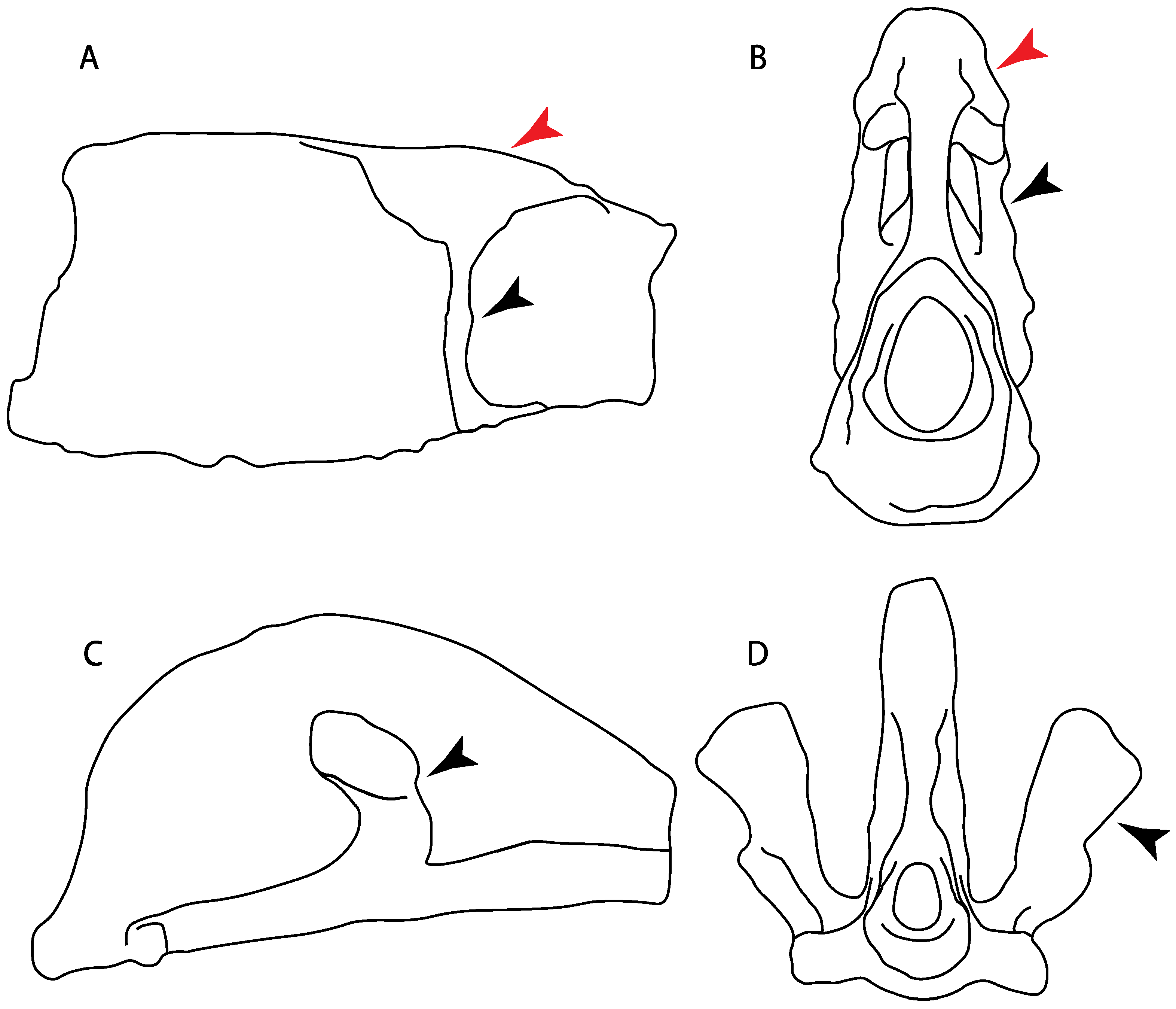 Diversity 14 00456 g028