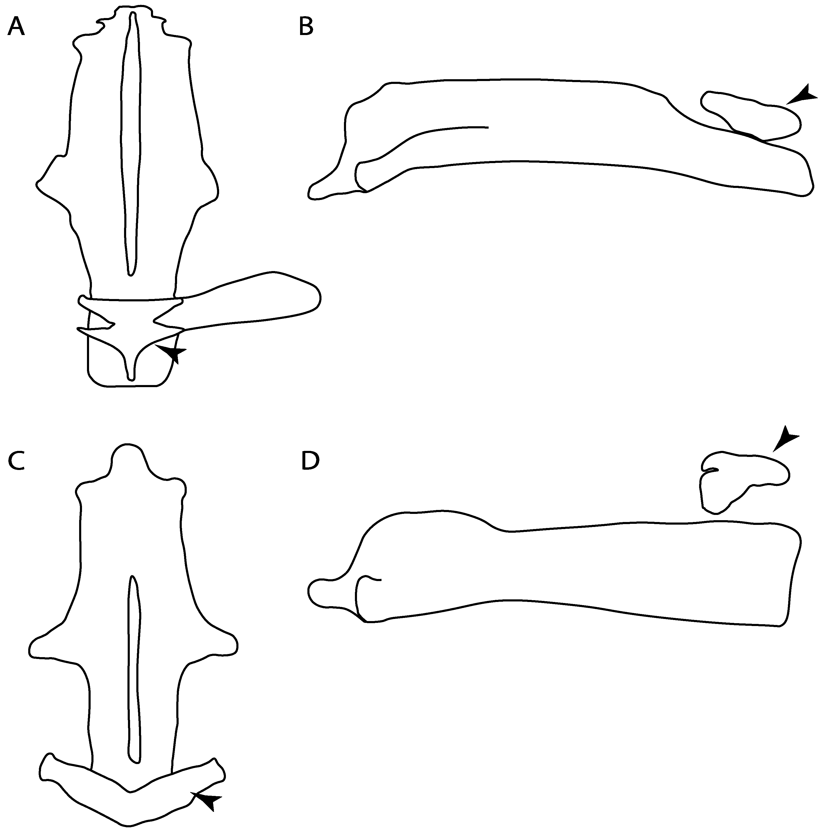 Diversity 14 00456 g030