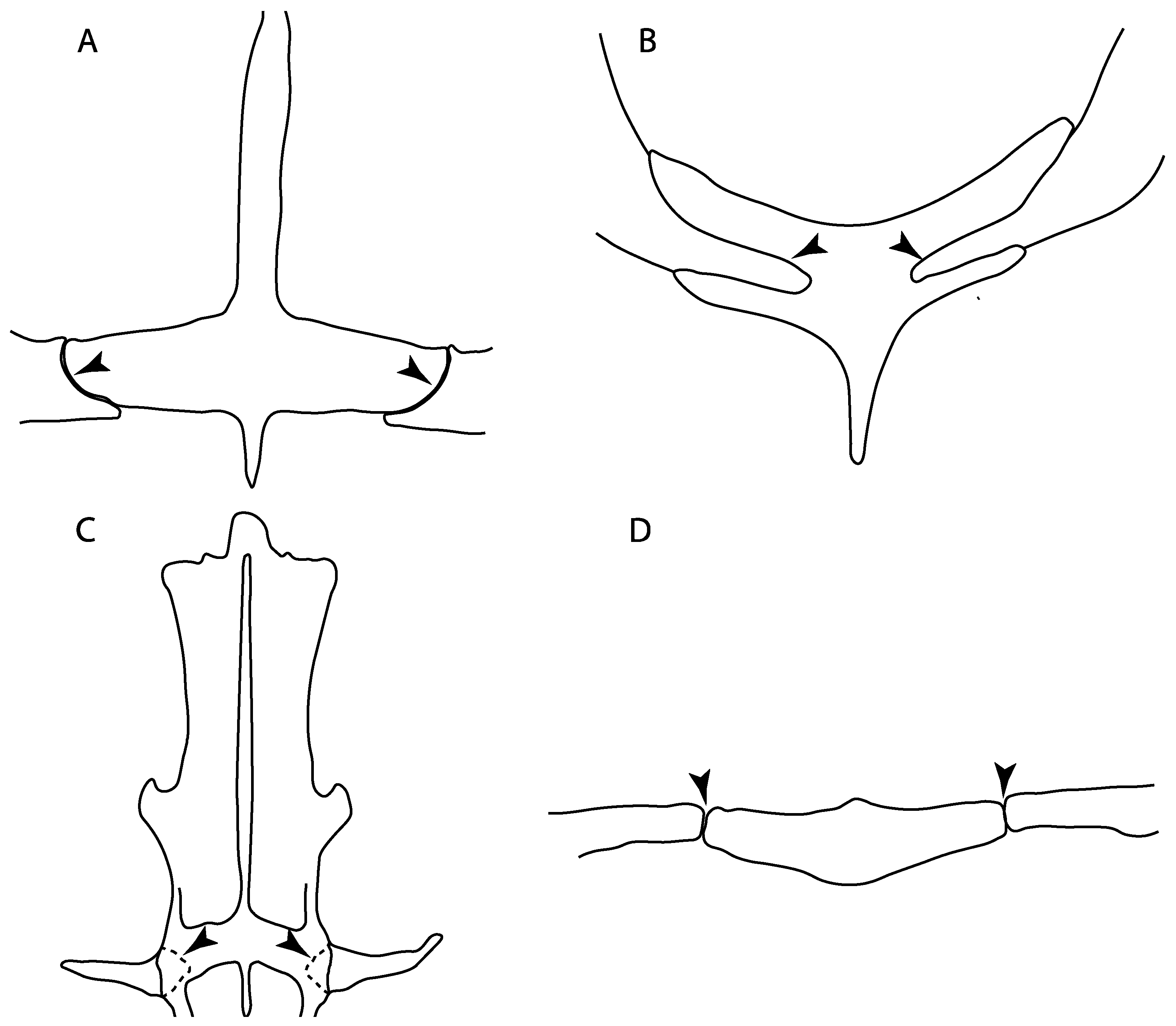 Diversity 14 00456 g032