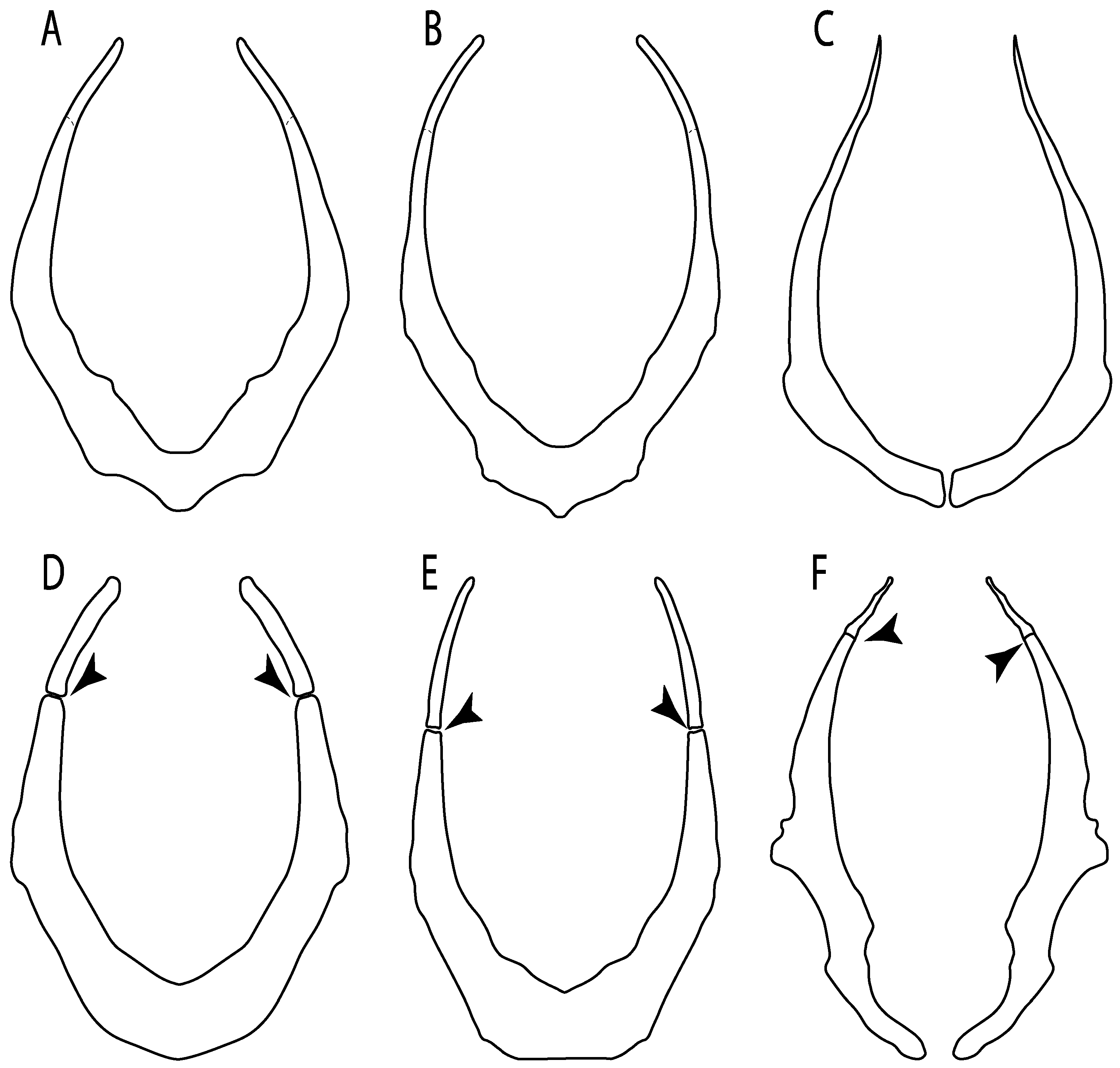 Diversity 14 00456 g034