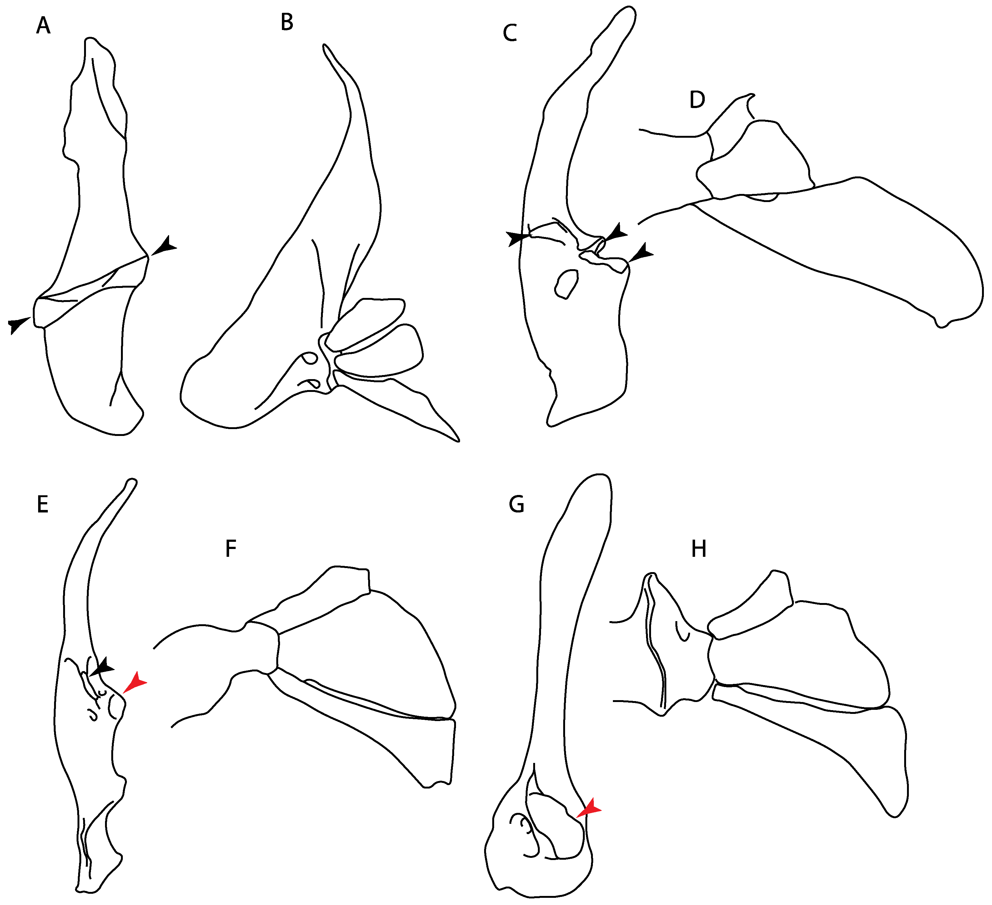 Diversity 14 00456 g036