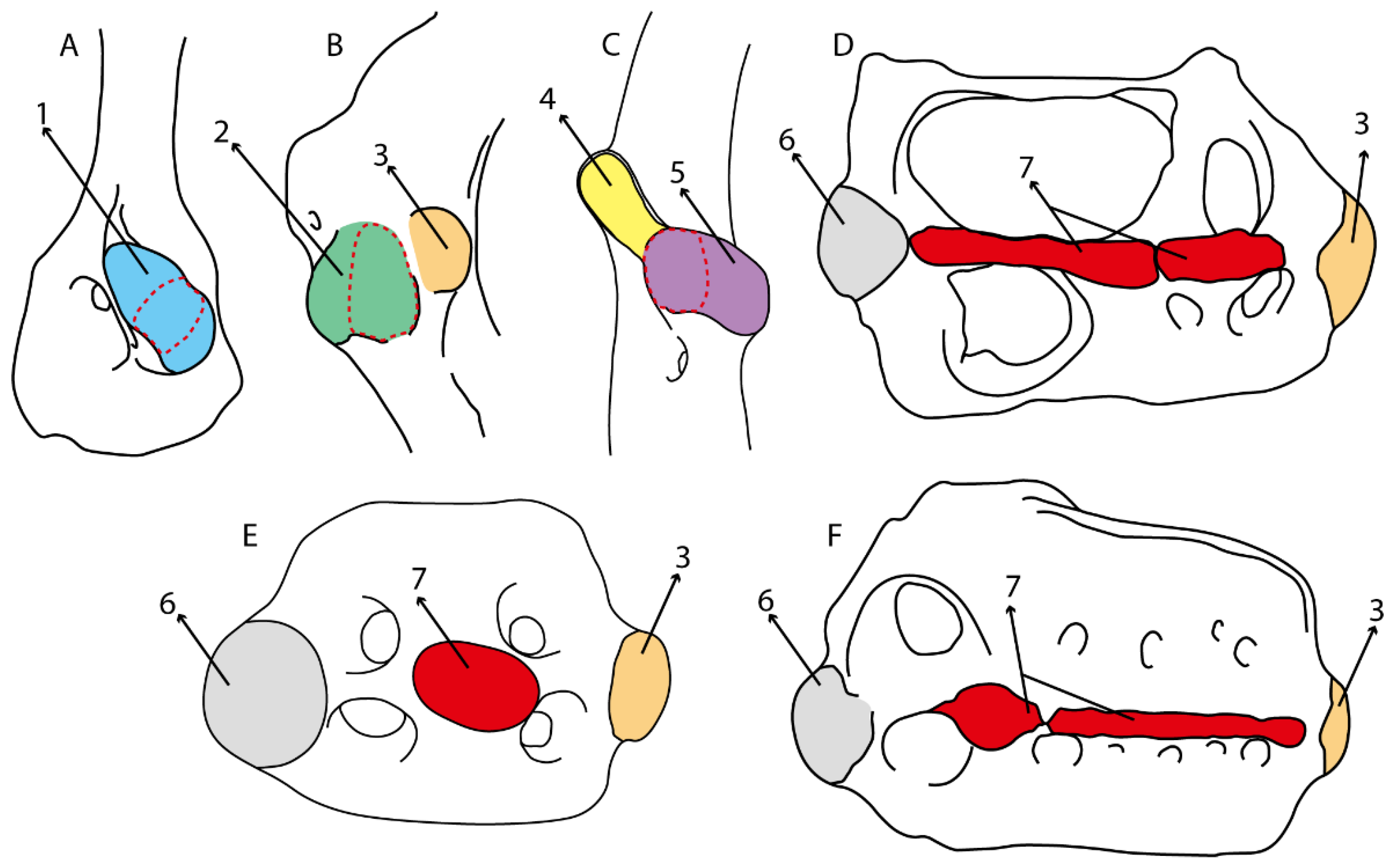 Diversity 14 00456 g037