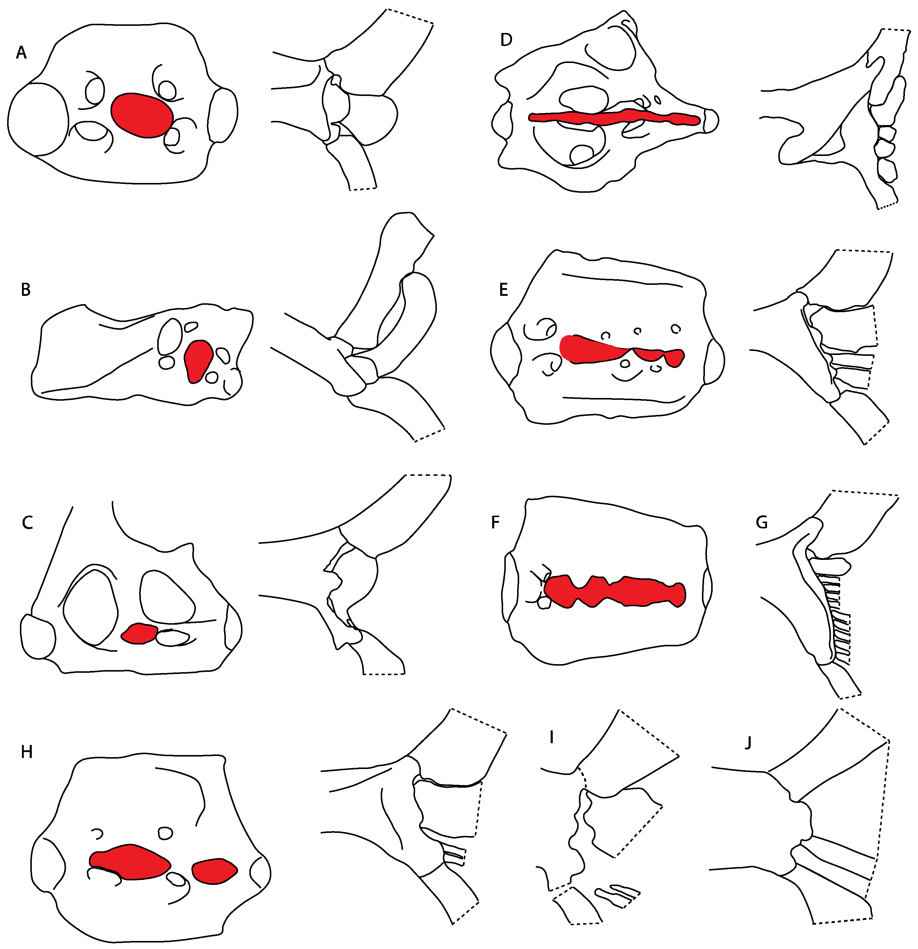 Diversity 14 00456 g038
