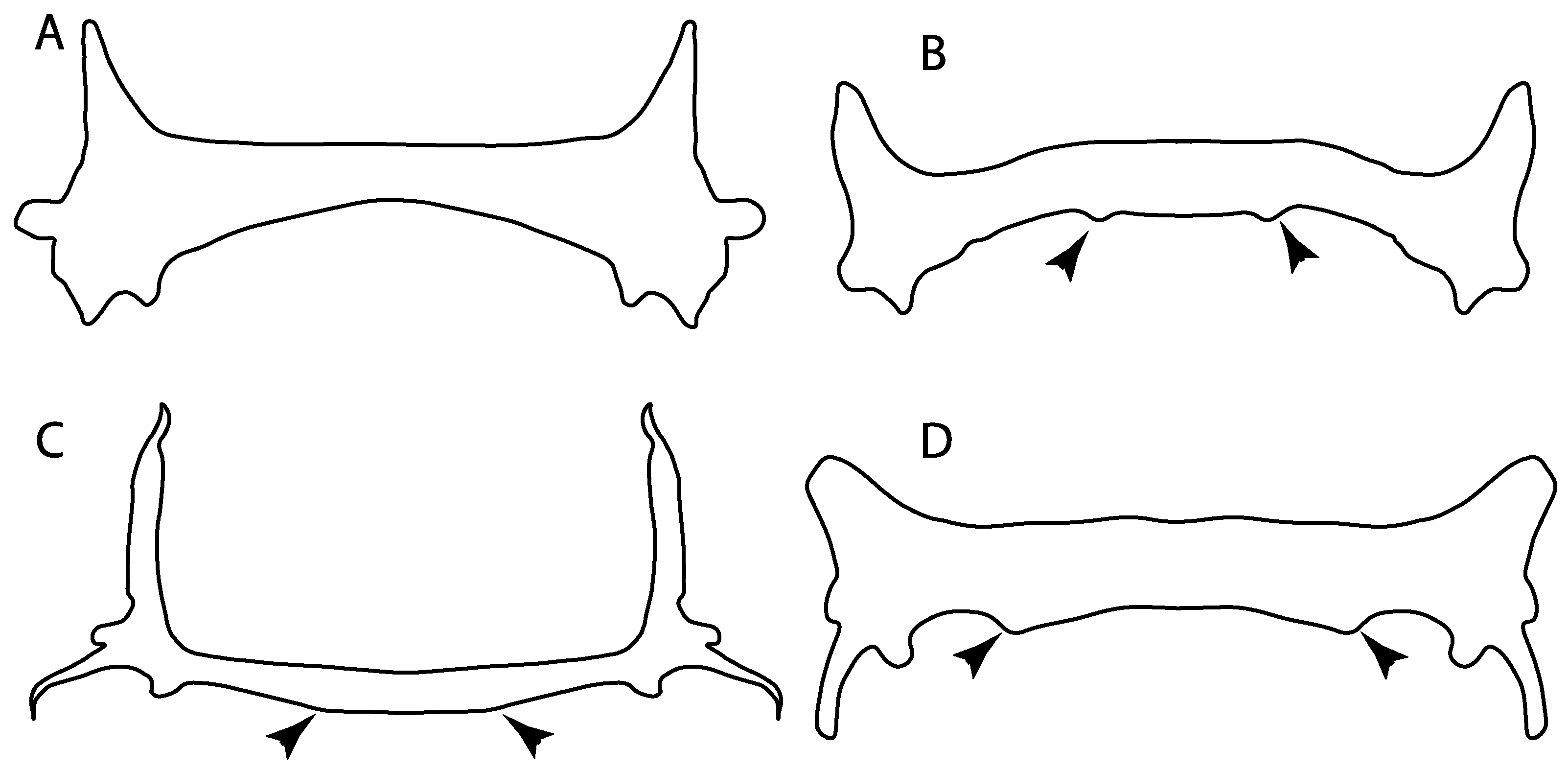 Diversity 14 00456 g039