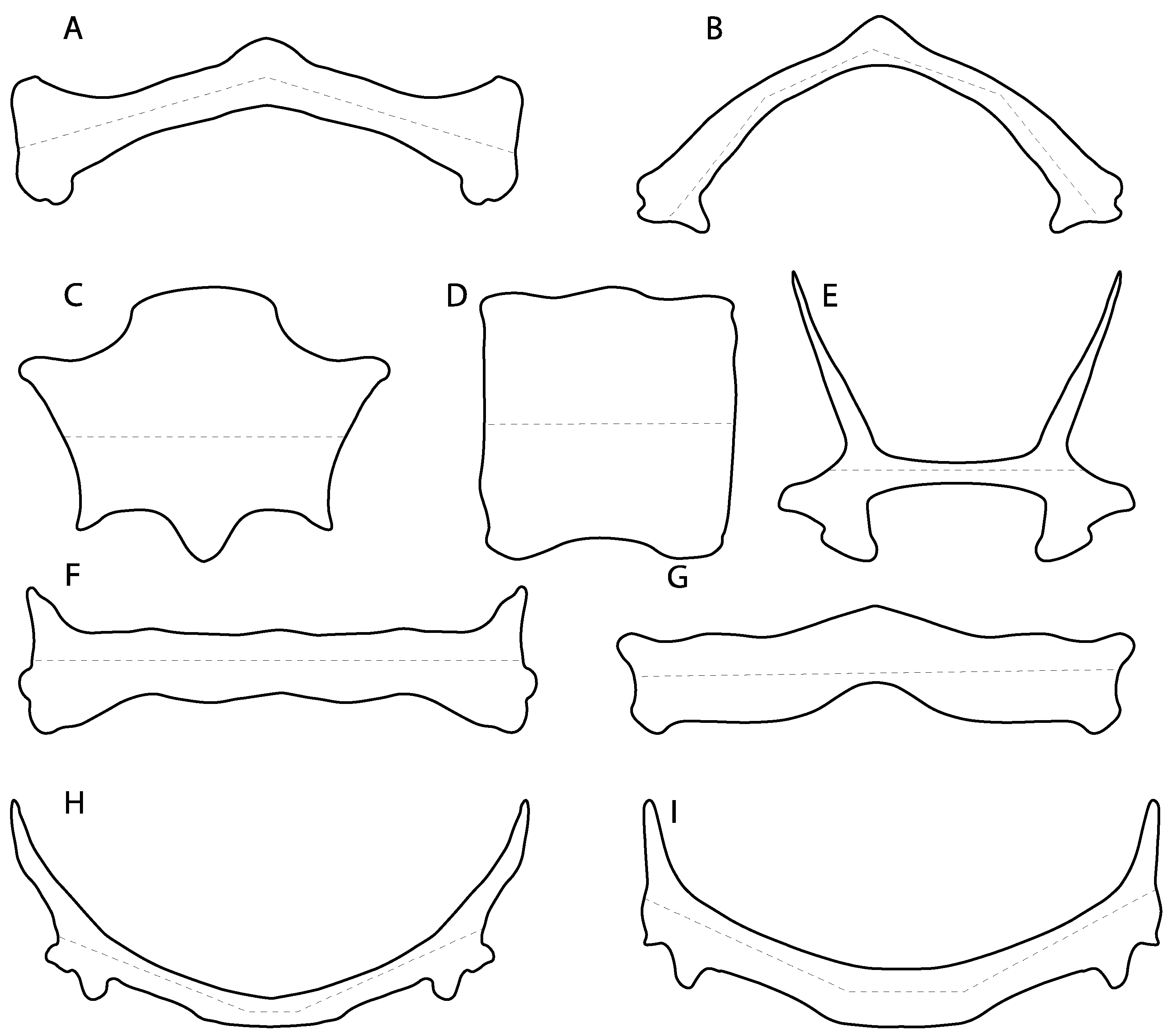 Diversity 14 00456 g040