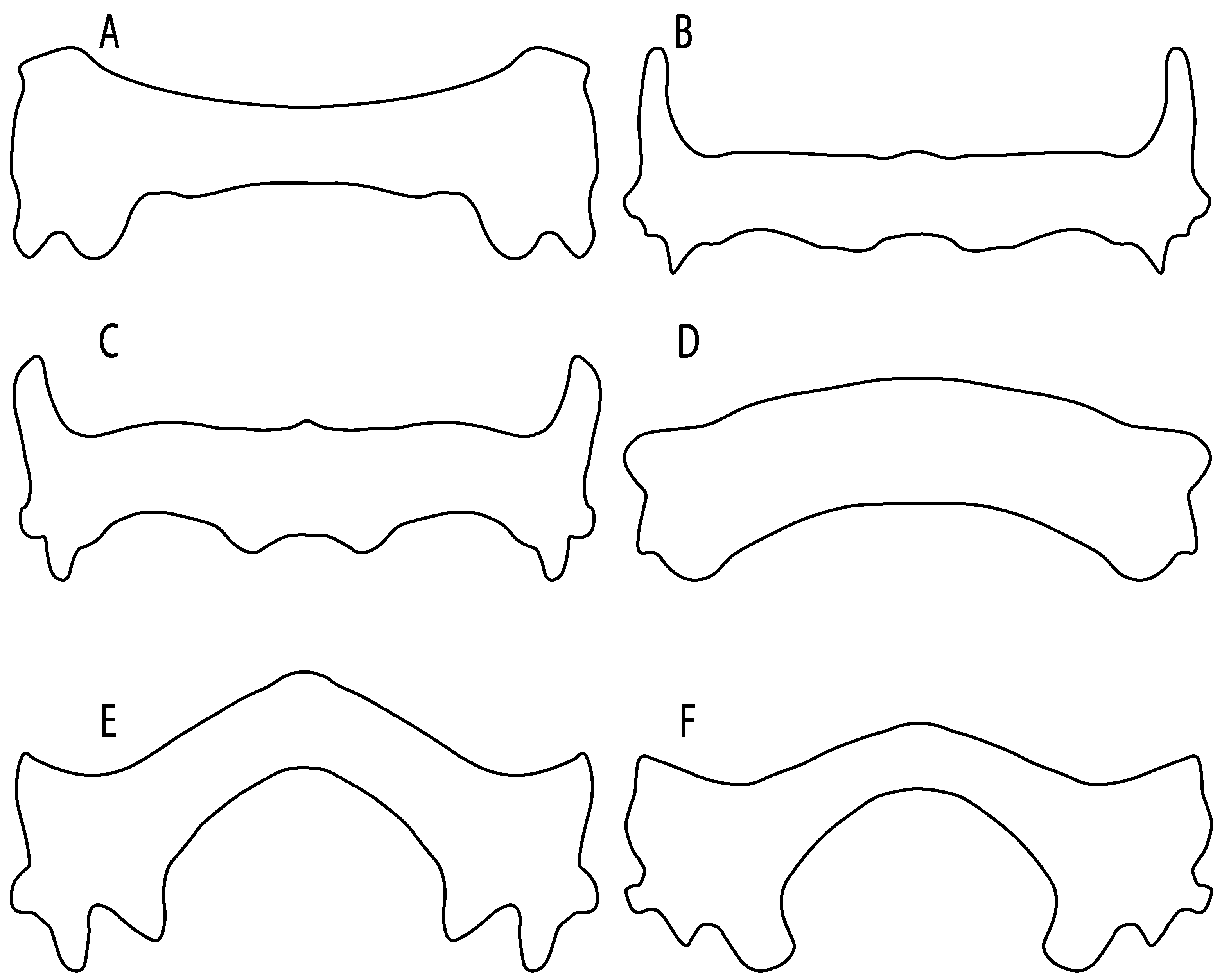 Diversity 14 00456 g041