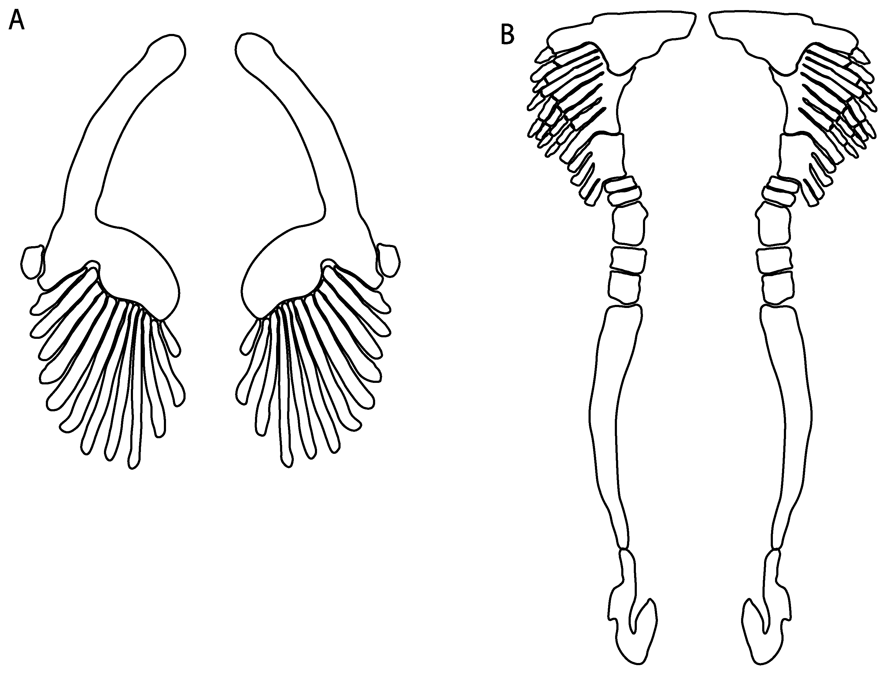 Diversity 14 00456 g042