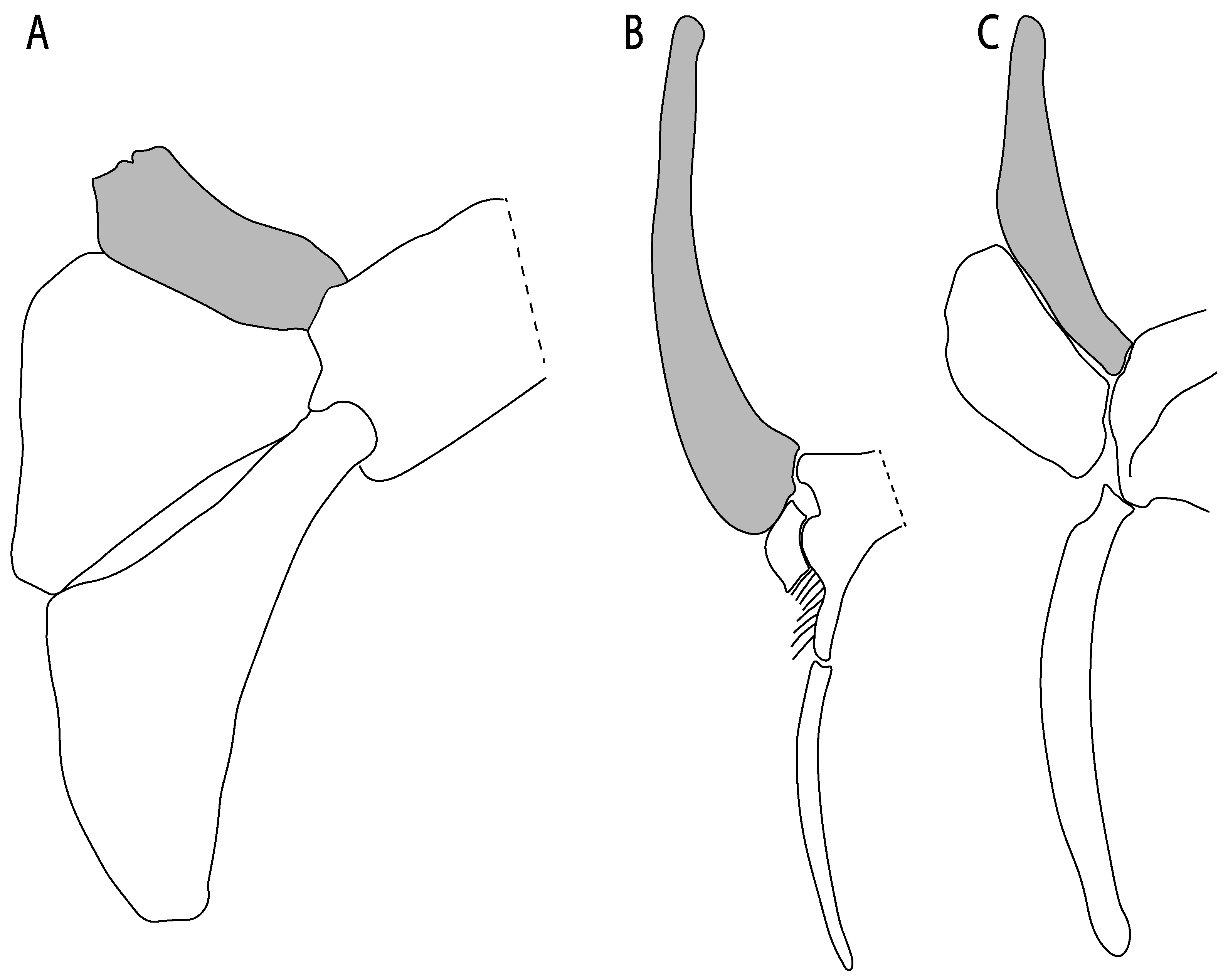 Diversity 14 00456 g043