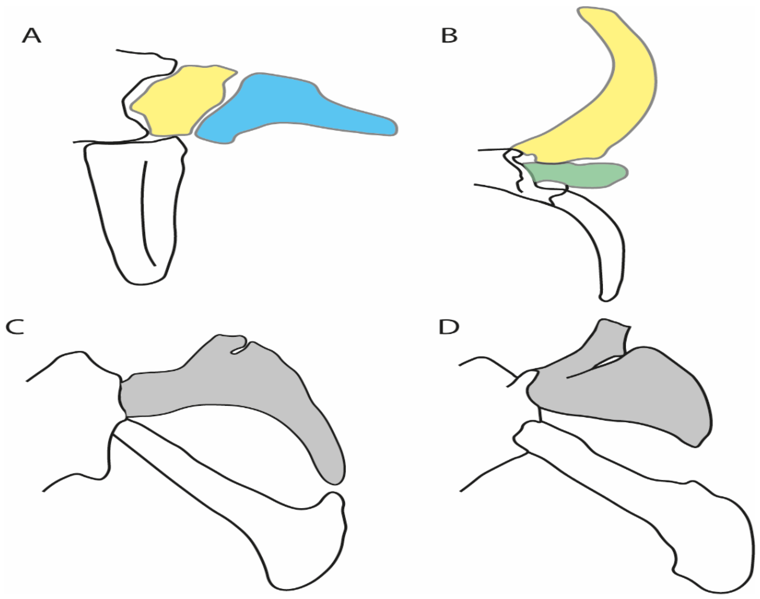 Diversity 14 00456 g045