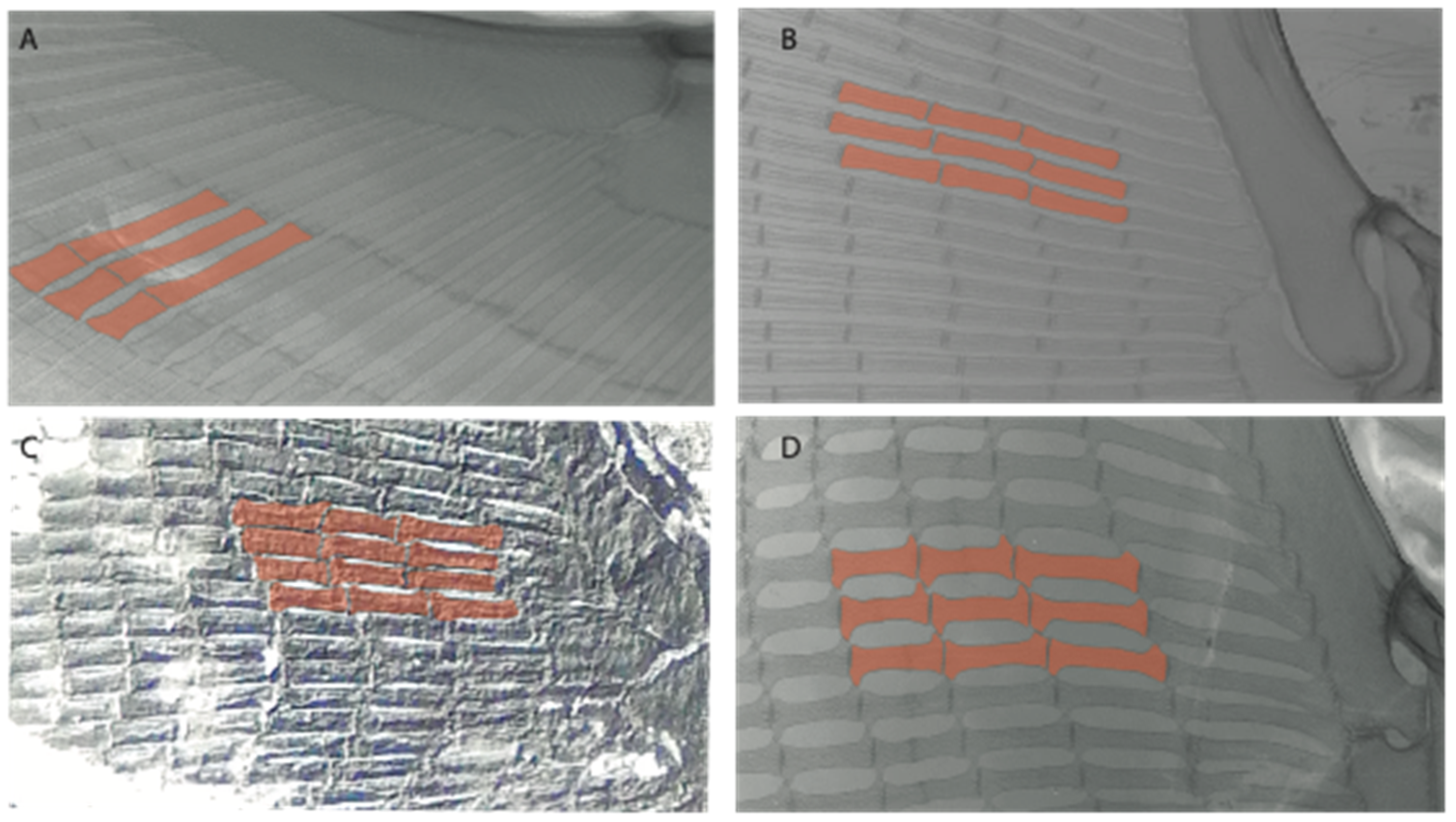 Diversity 14 00456 g046