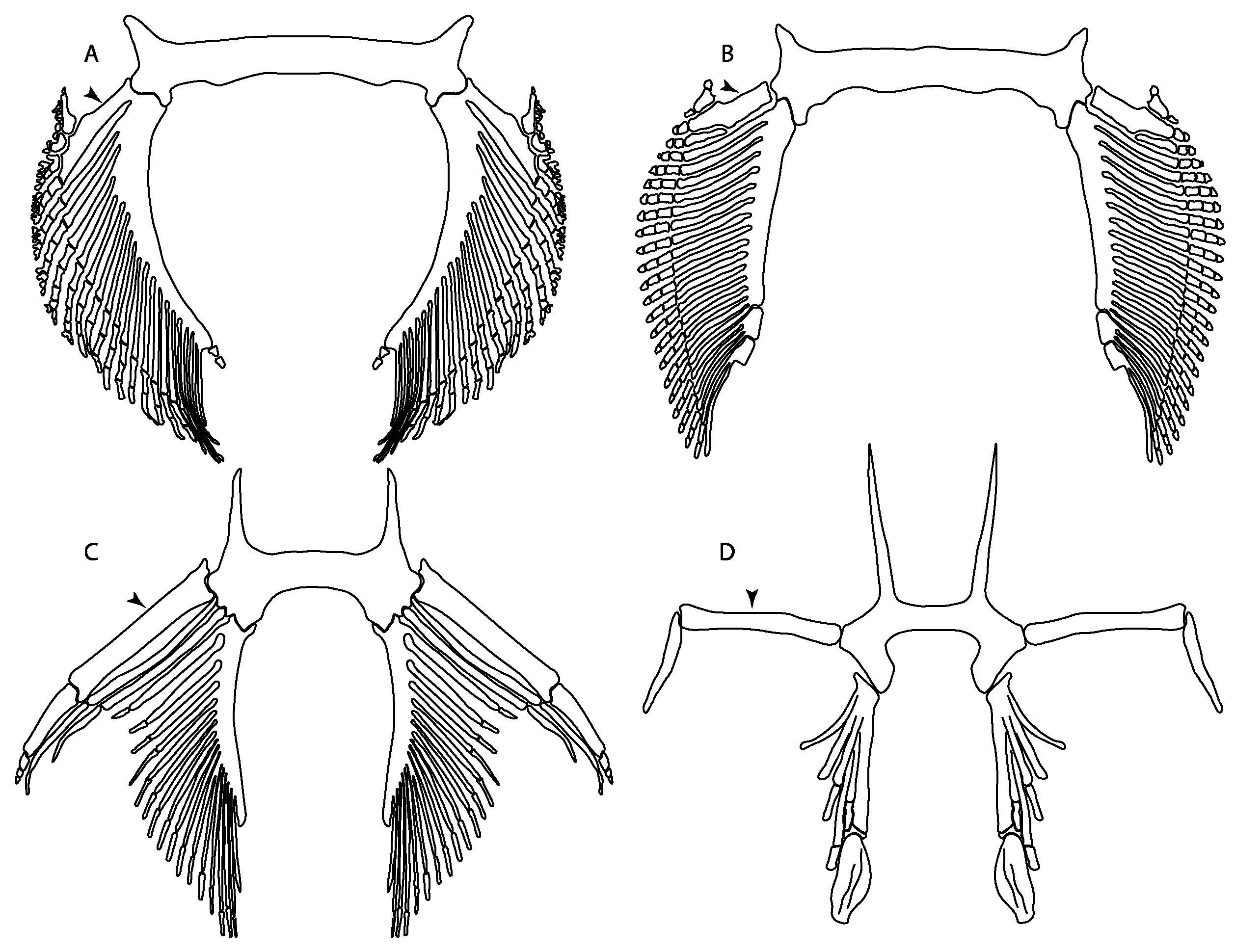 Diversity 14 00456 g047