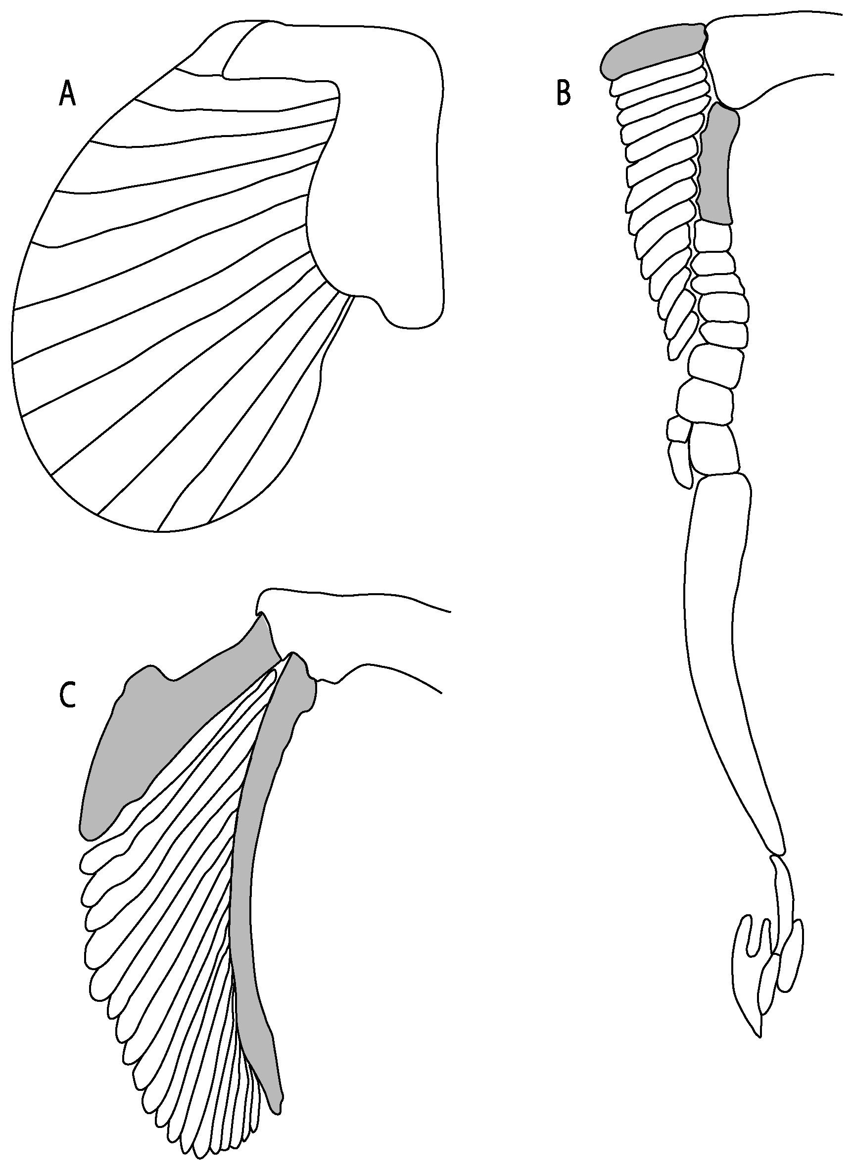Diversity 14 00456 g048
