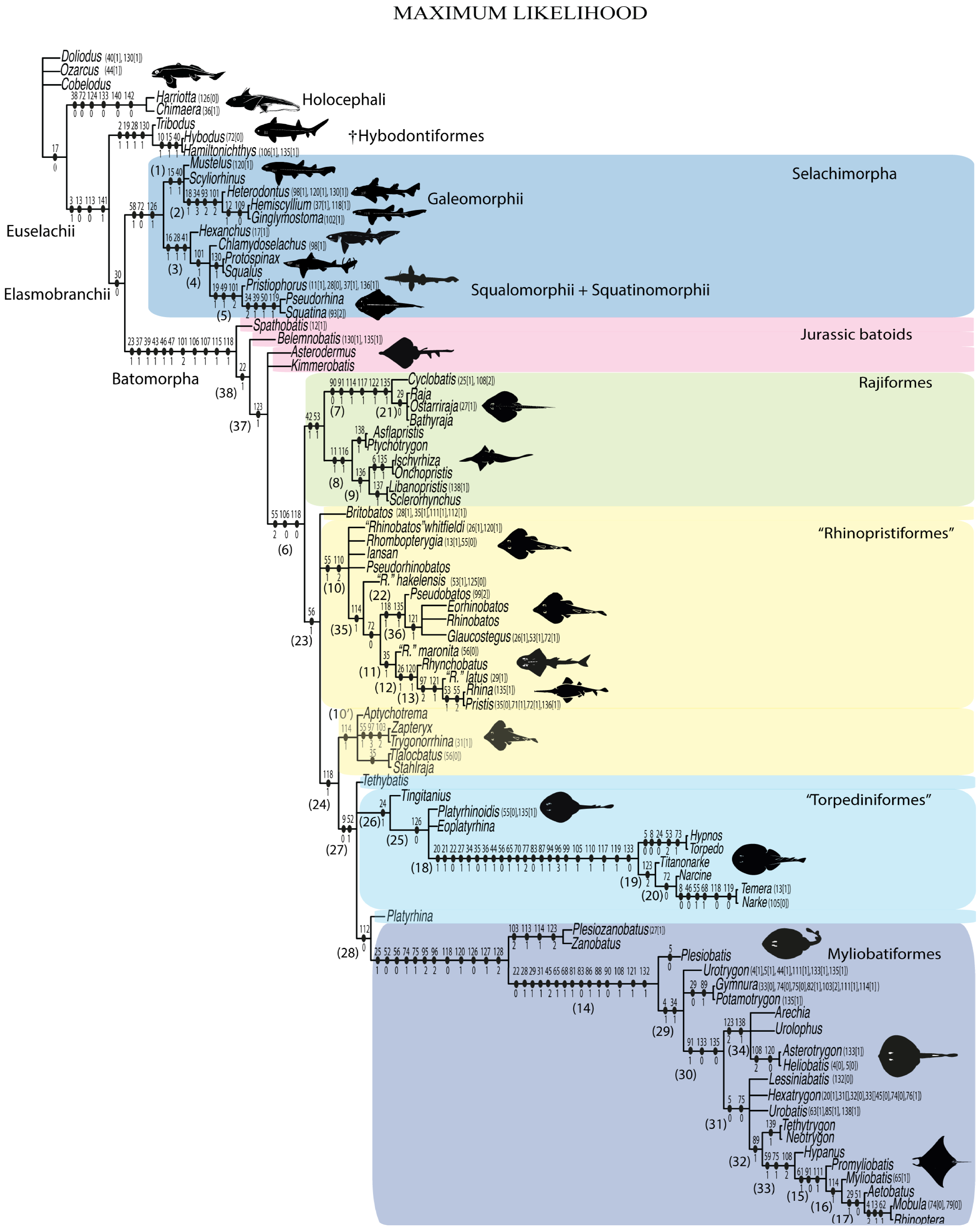 Diversity 14 00456 g050