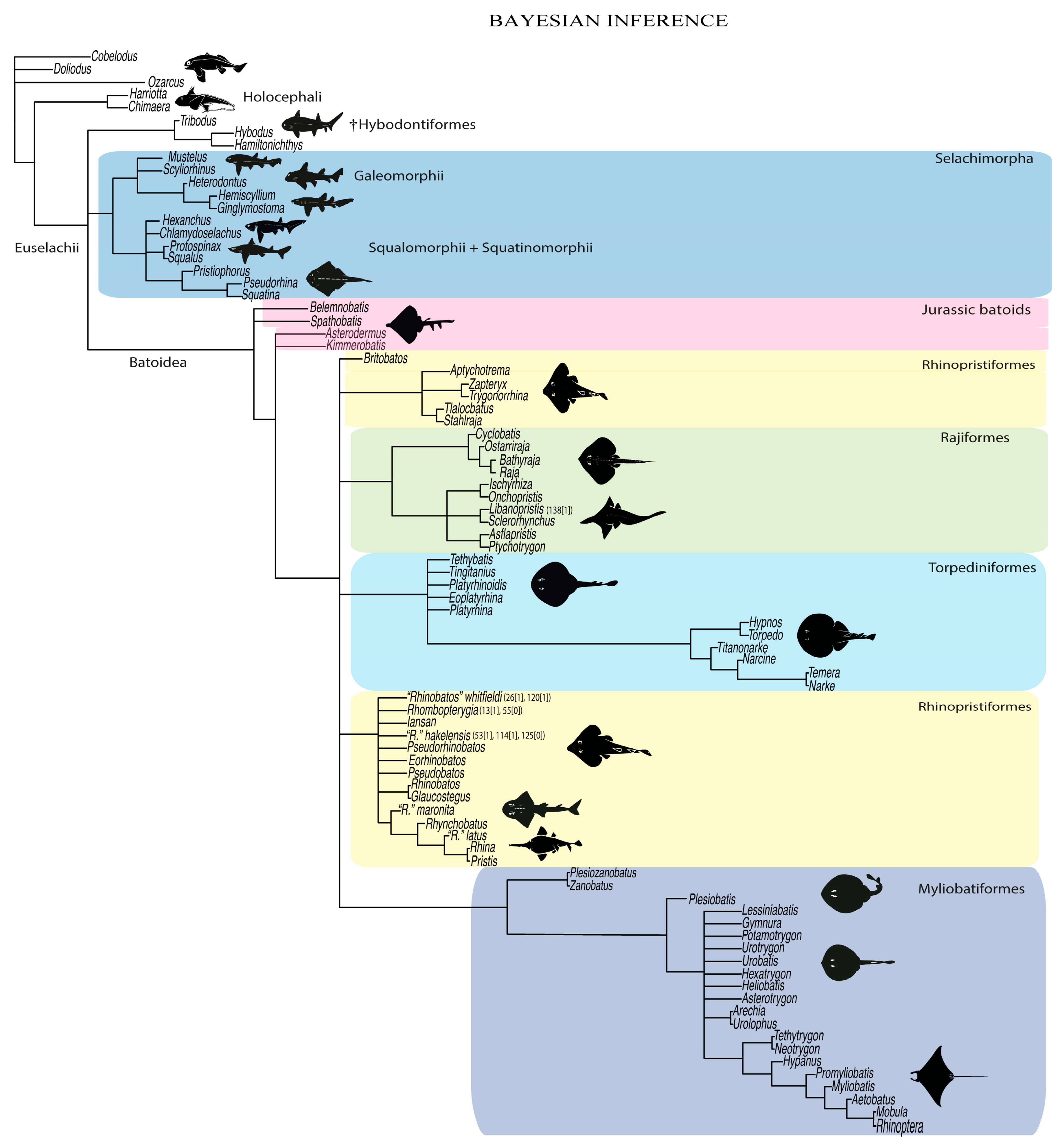 Diversity 14 00456 g051