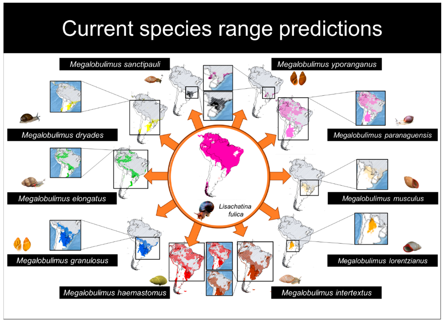 Diversity 14 00467 g002 Diversity 14 00467 g002