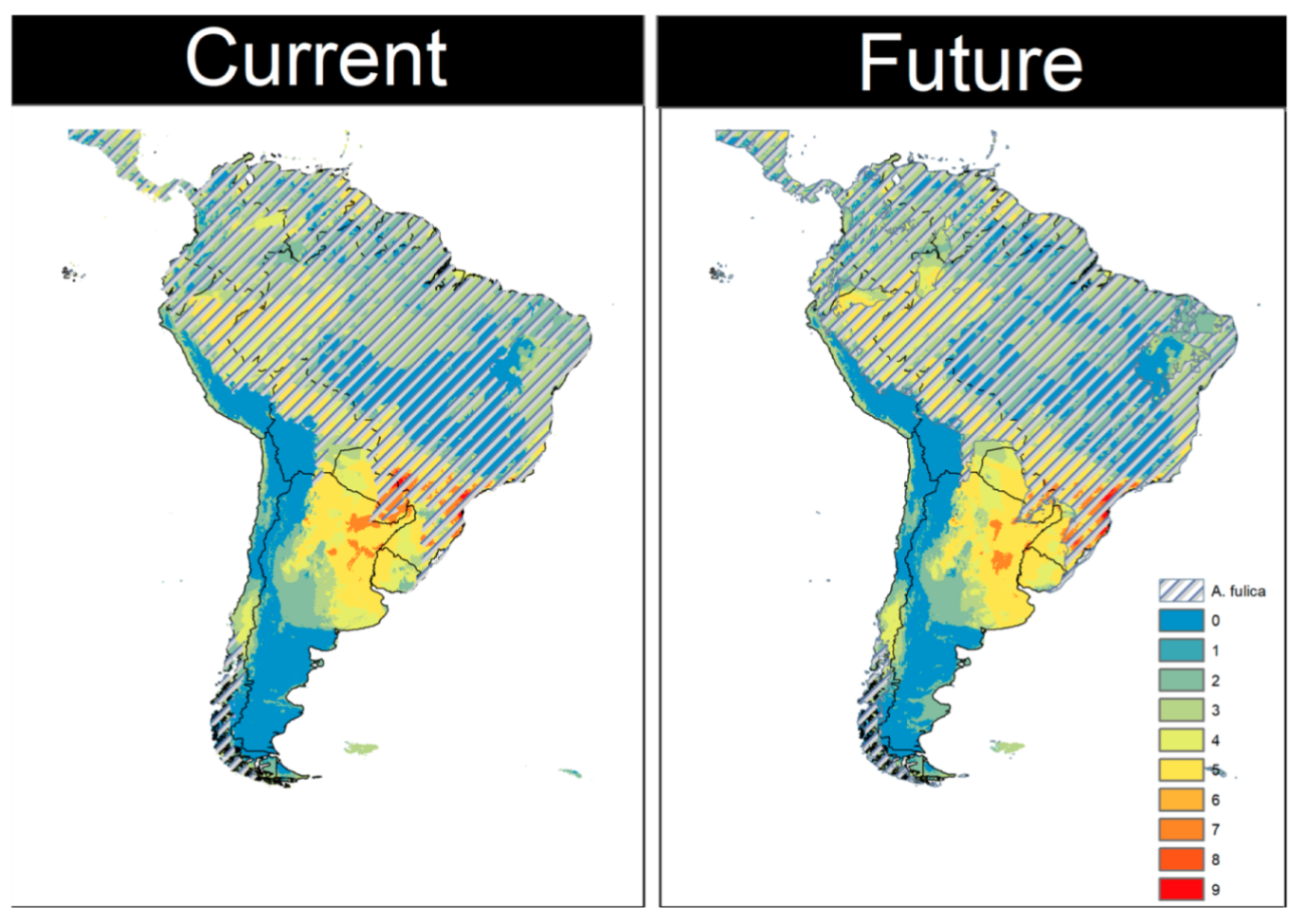 Diversity 14 00467 g005 Diversity 14 00467 g005