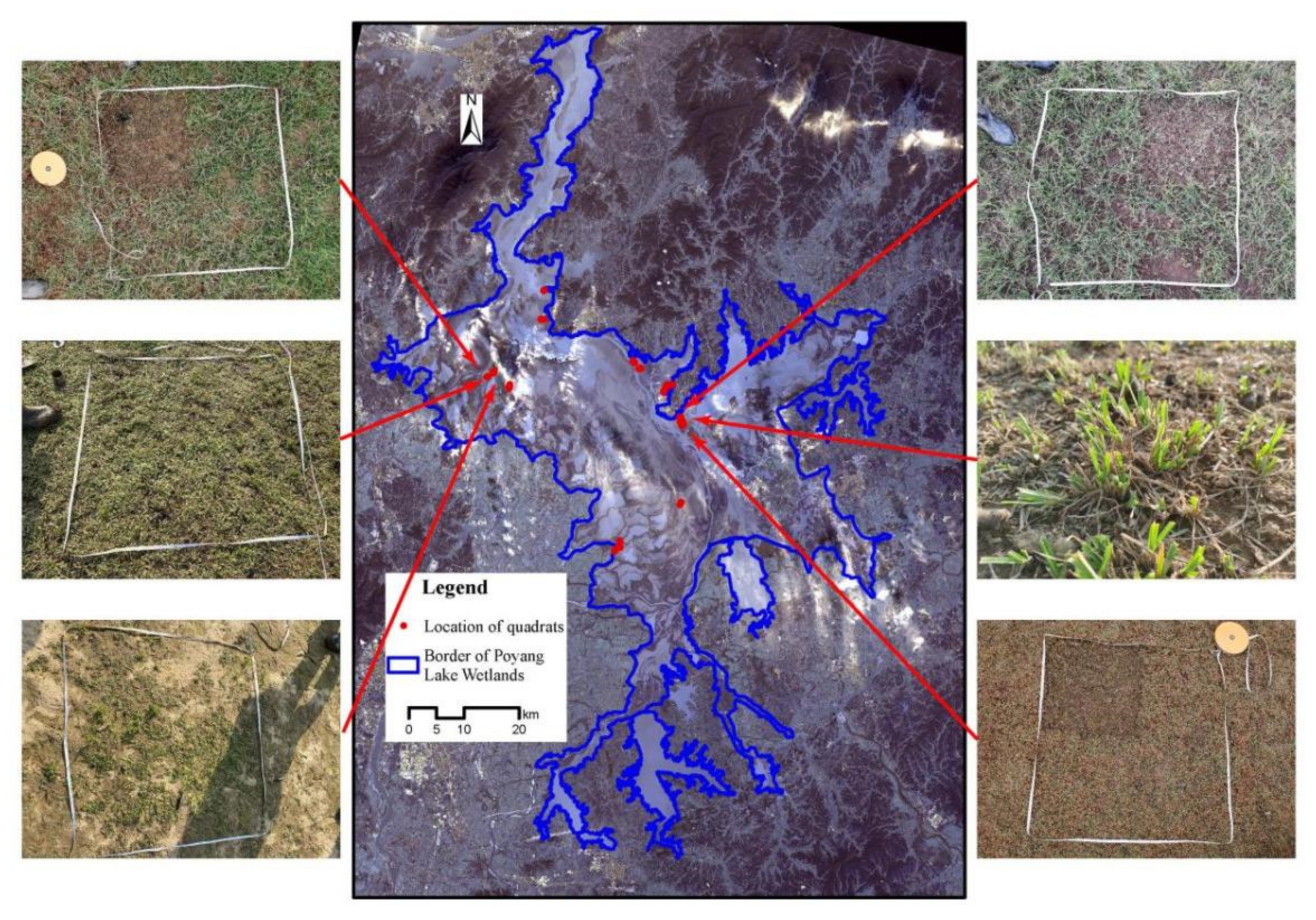 Diversity 14 00491 g001