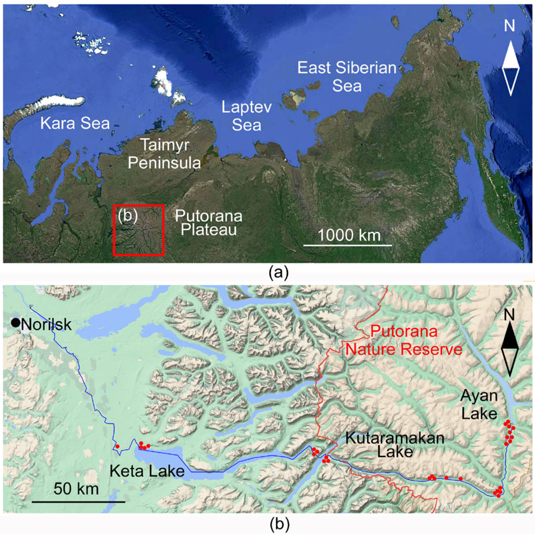 Diversity 14 00492 g001