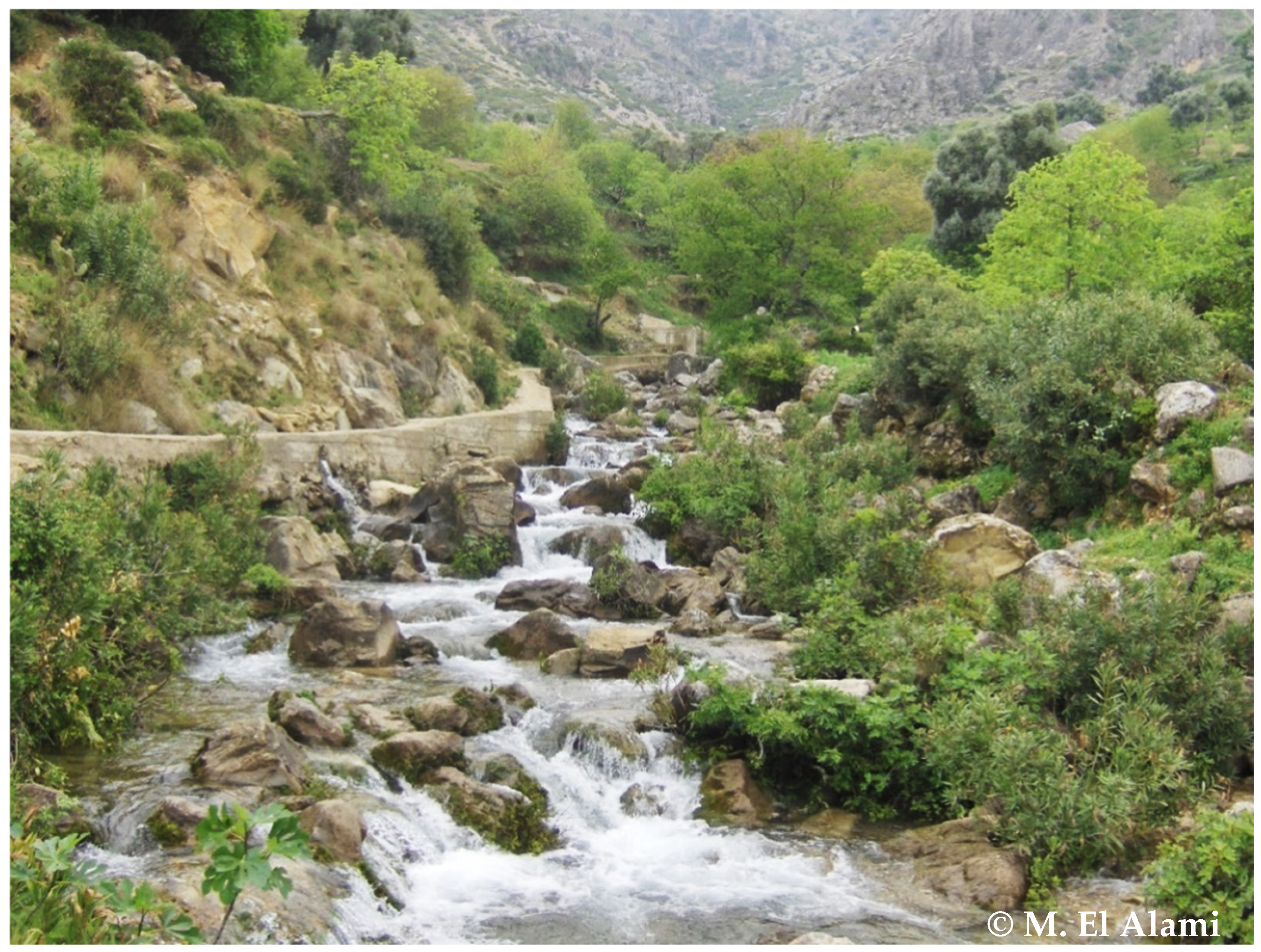 Diversity 14 00498 g002