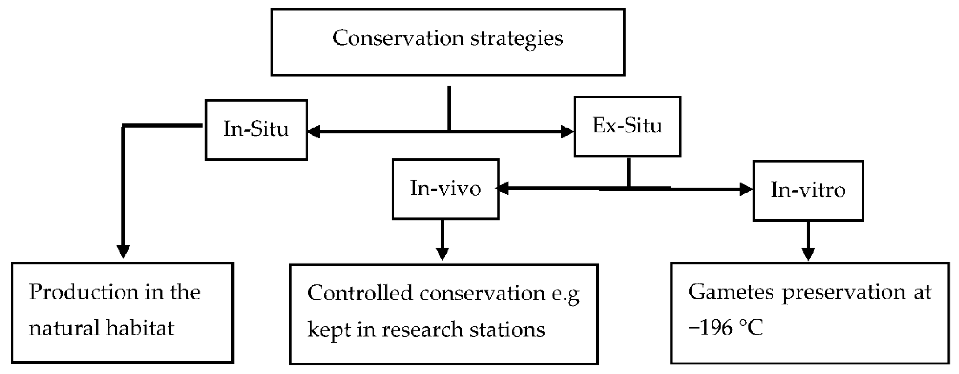 Diversity 14 00516 g002
