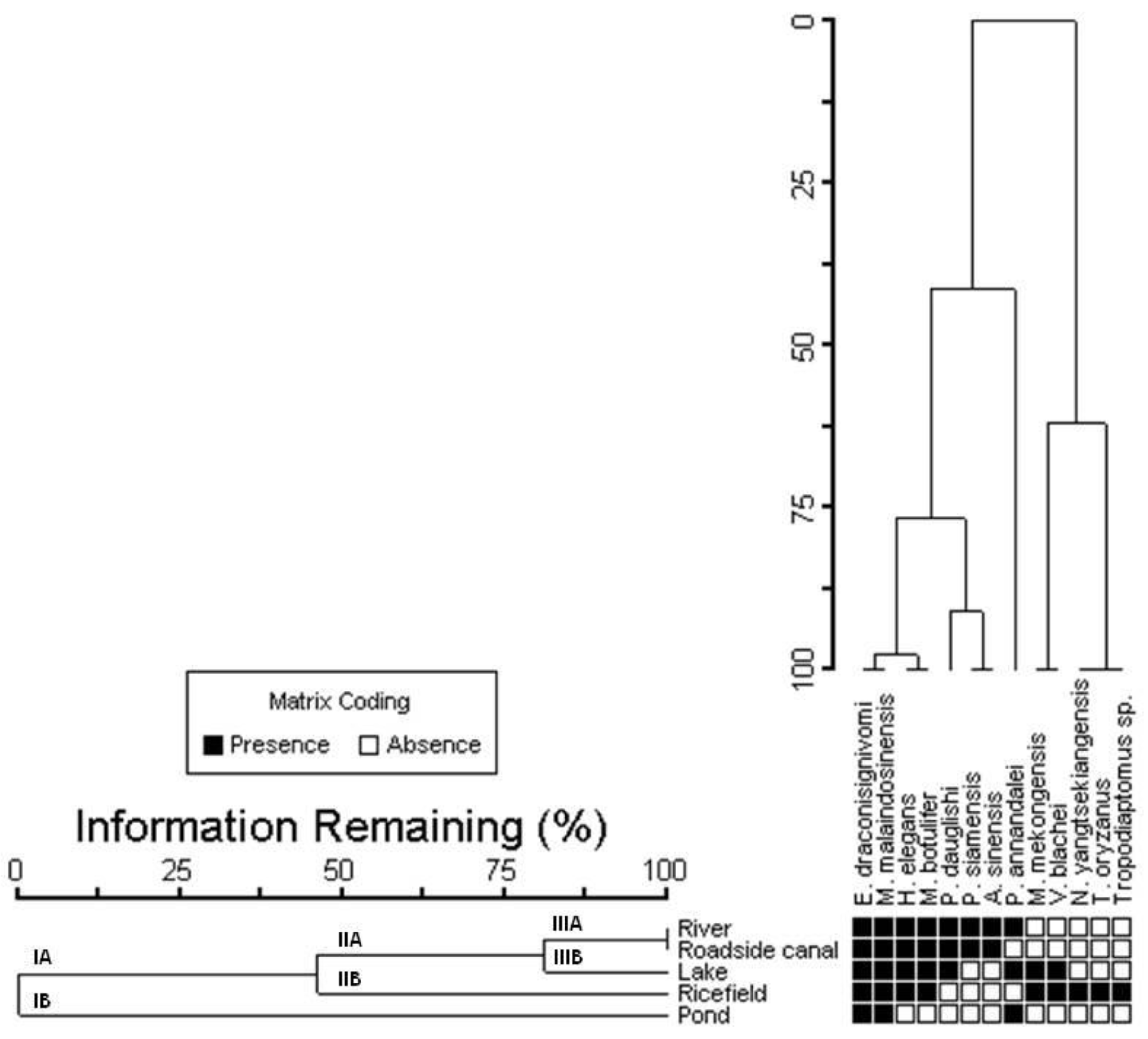 Diversity 14 00523 g005