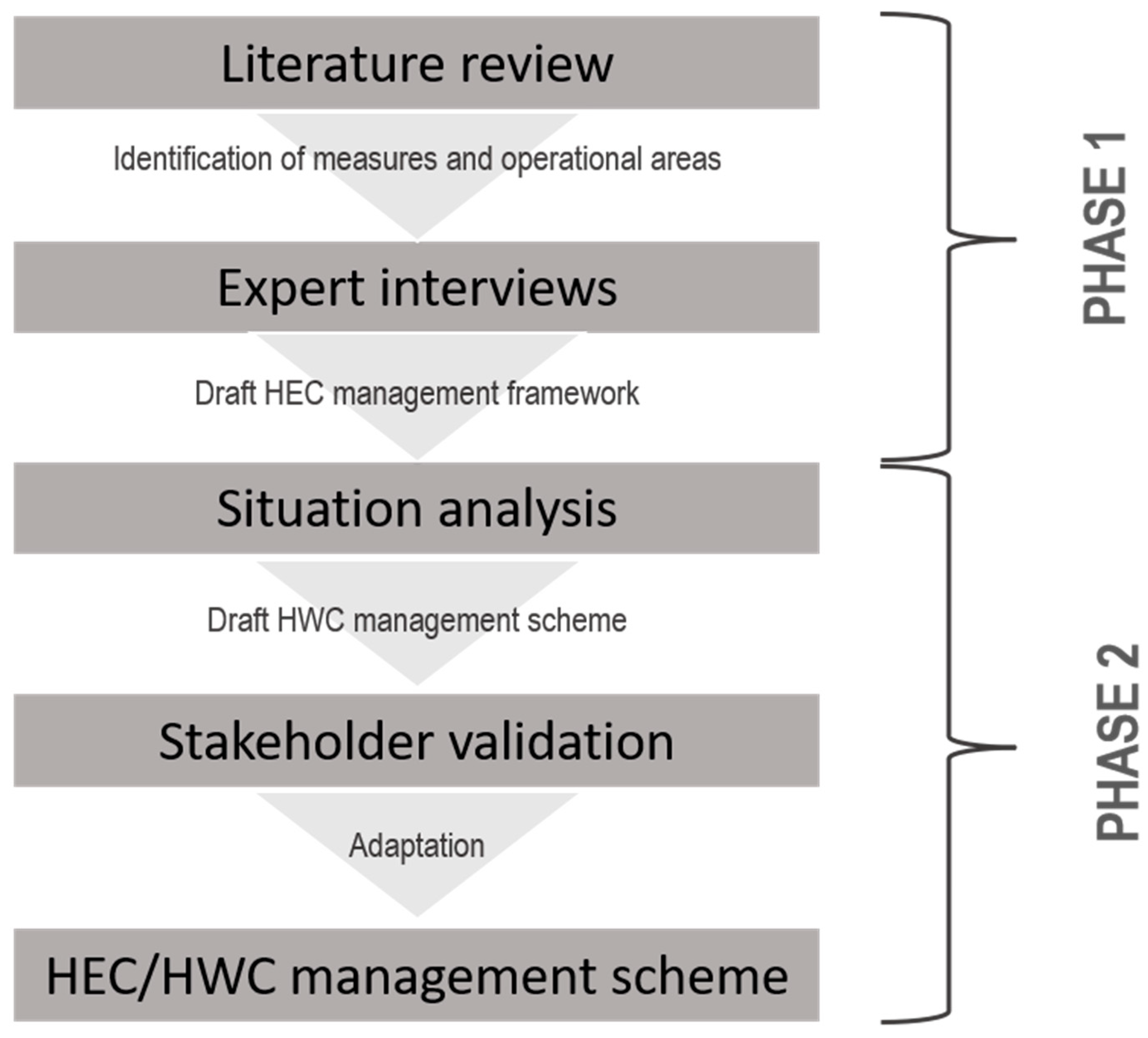 Diversity 14 00525 g001