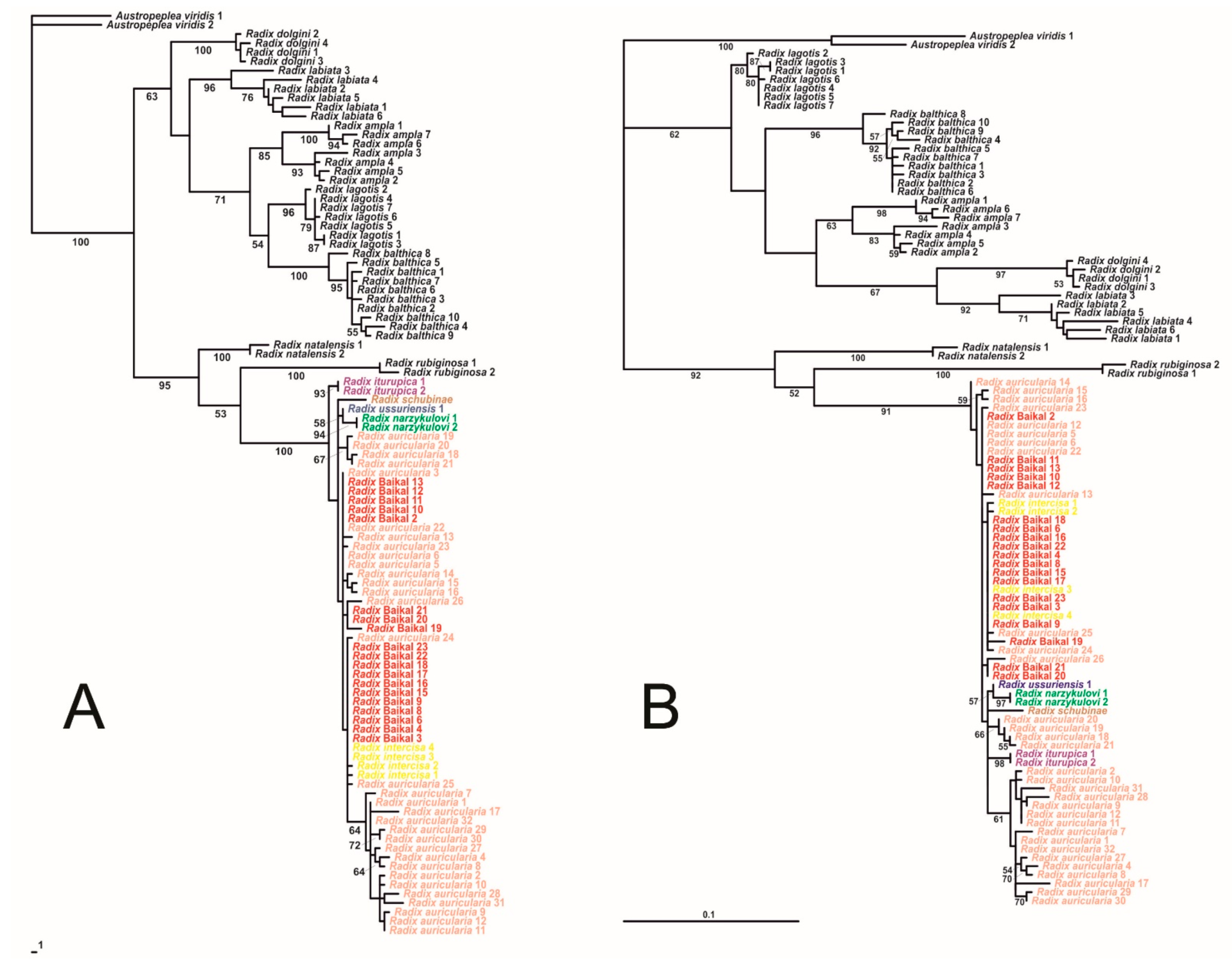 Diversity 14 00527 g003