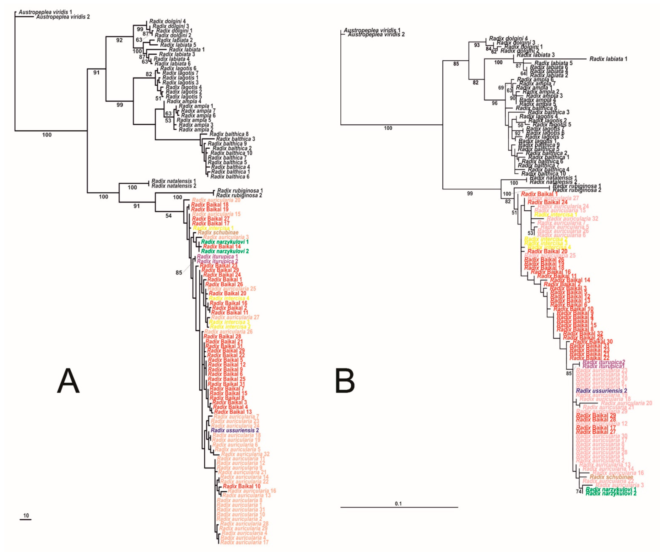 Diversity 14 00527 g004