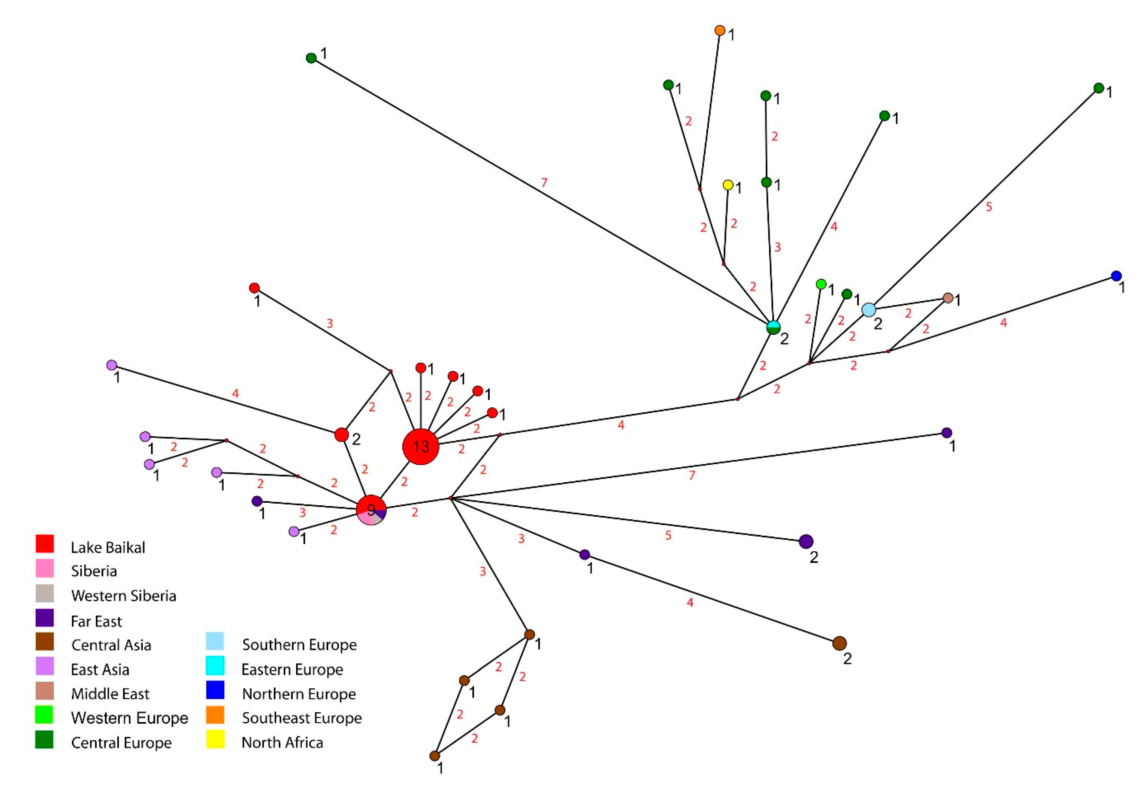 Diversity 14 00527 g005