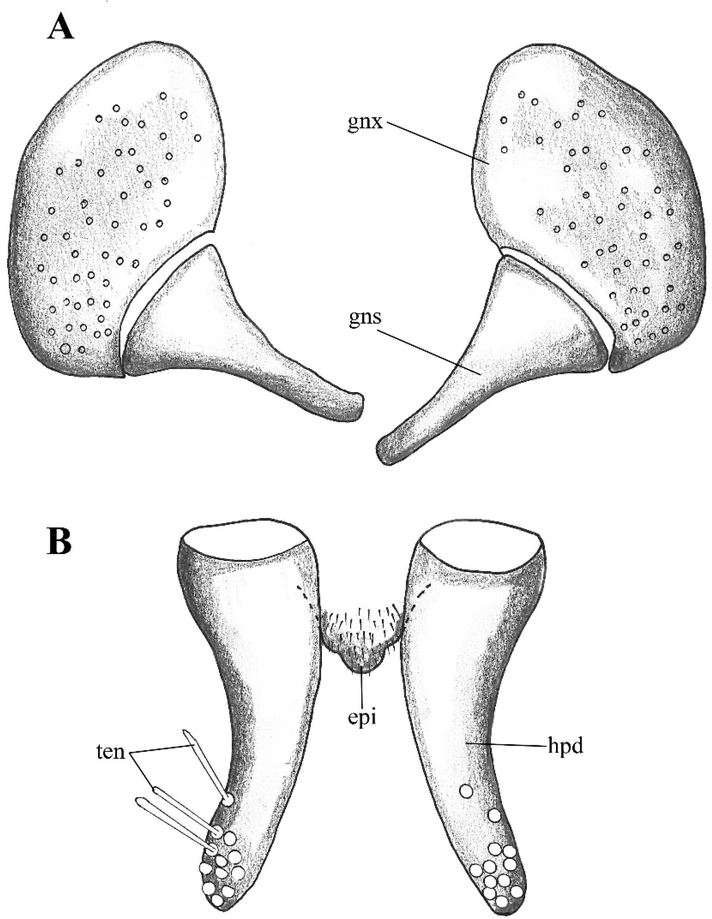 Diversity 14 00532 g002
