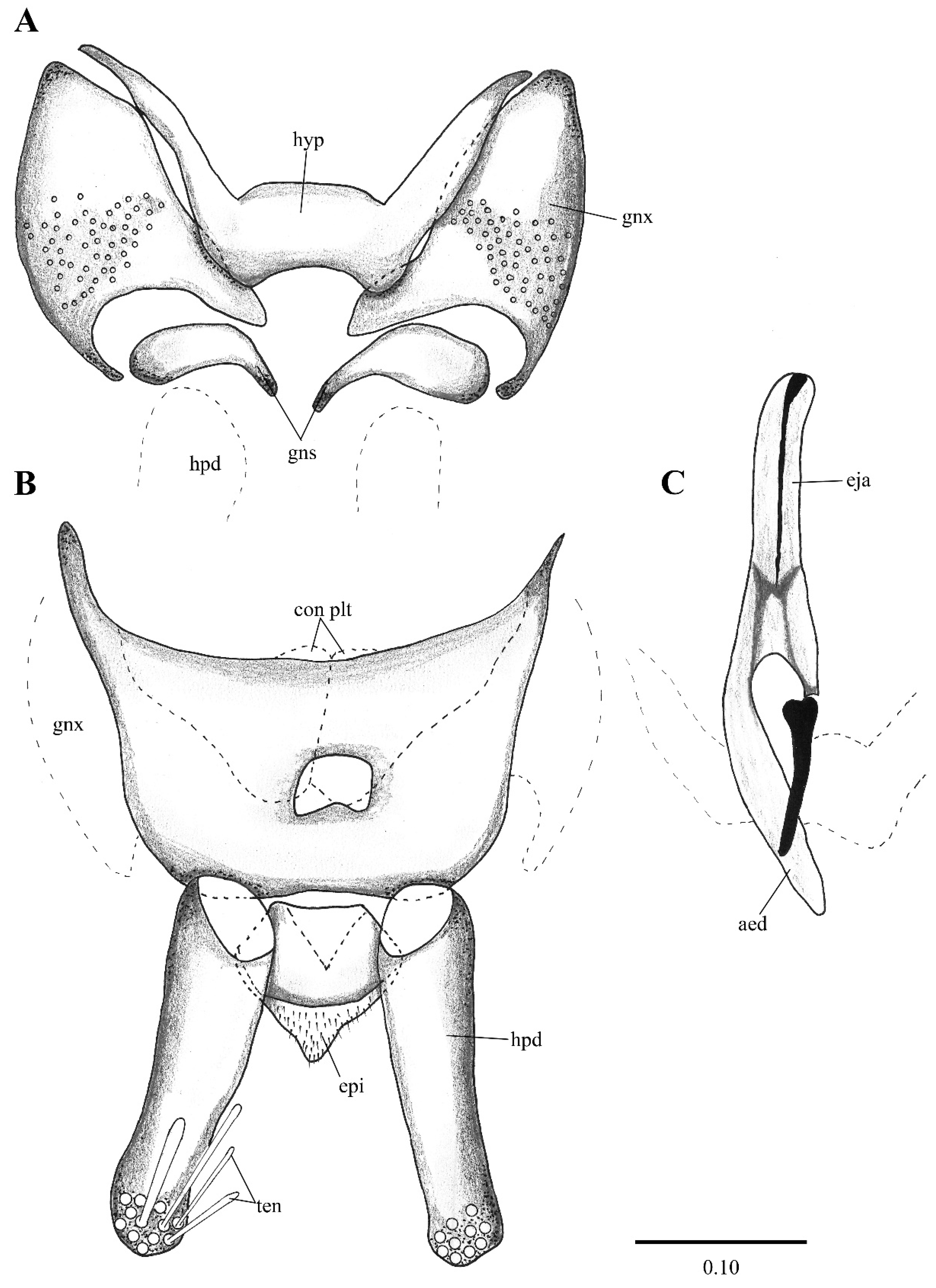 Diversity 14 00532 g003