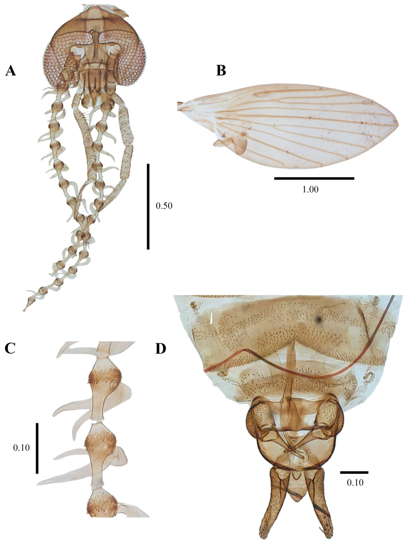 Diversity 14 00532 g004