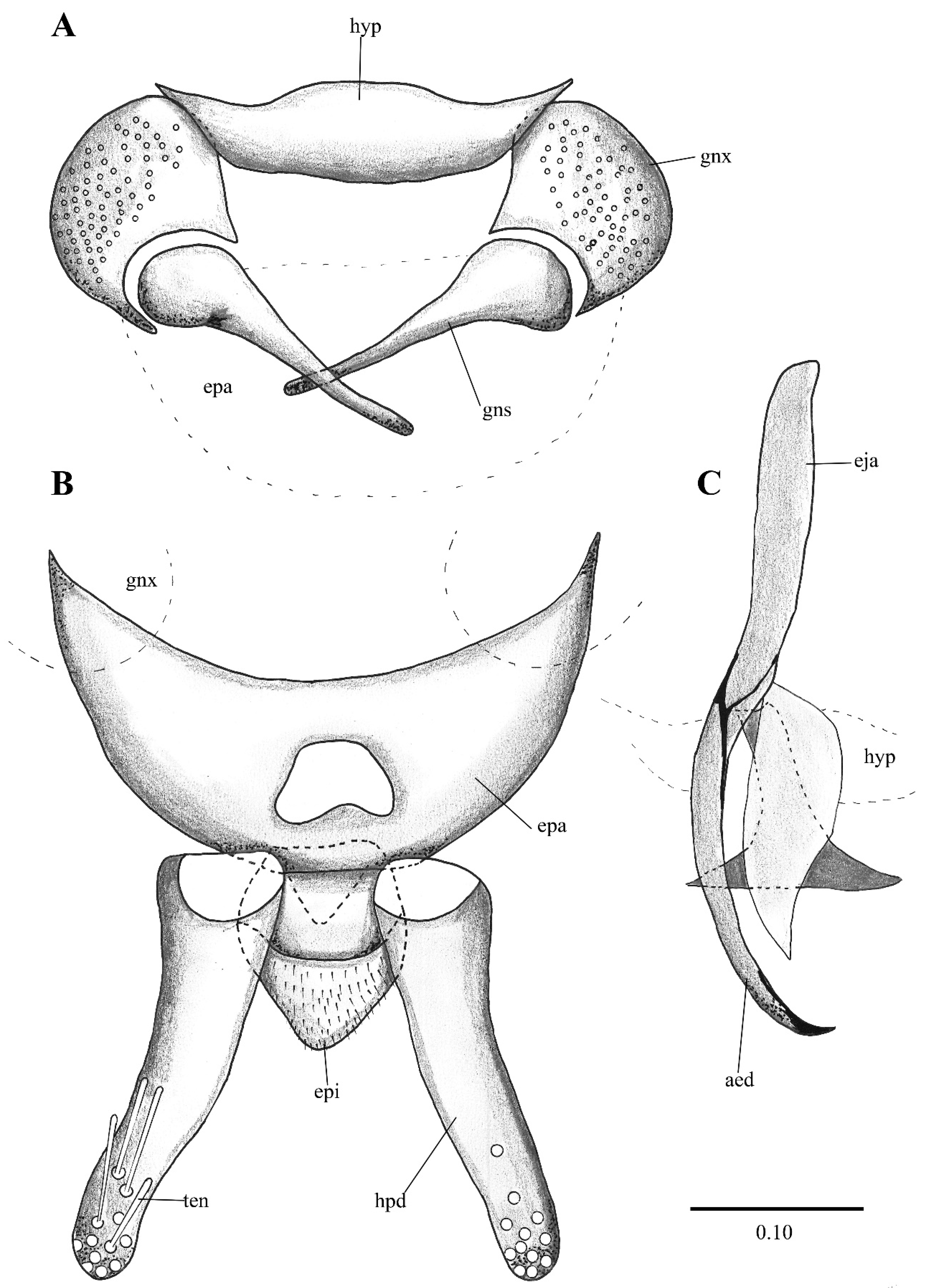 Diversity 14 00532 g005
