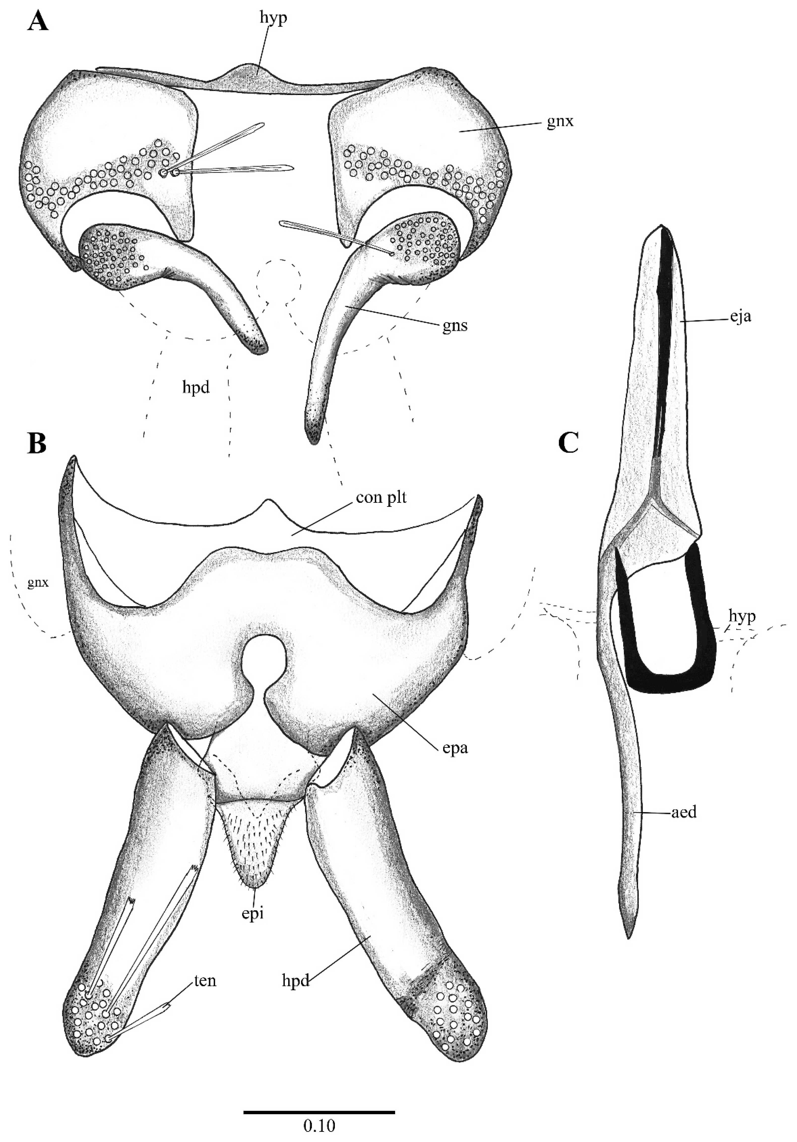 Diversity 14 00532 g007