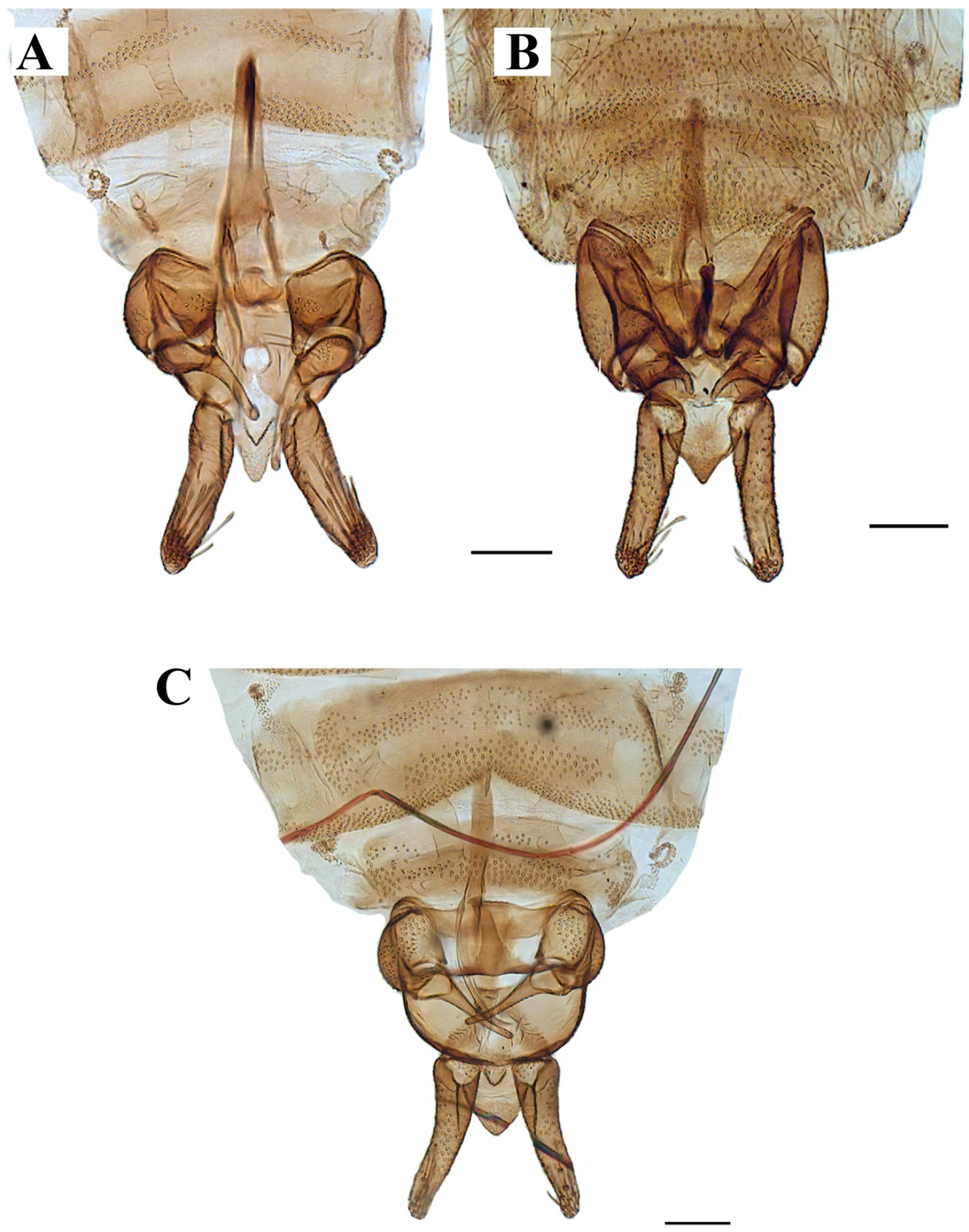 Diversity 14 00532 g009