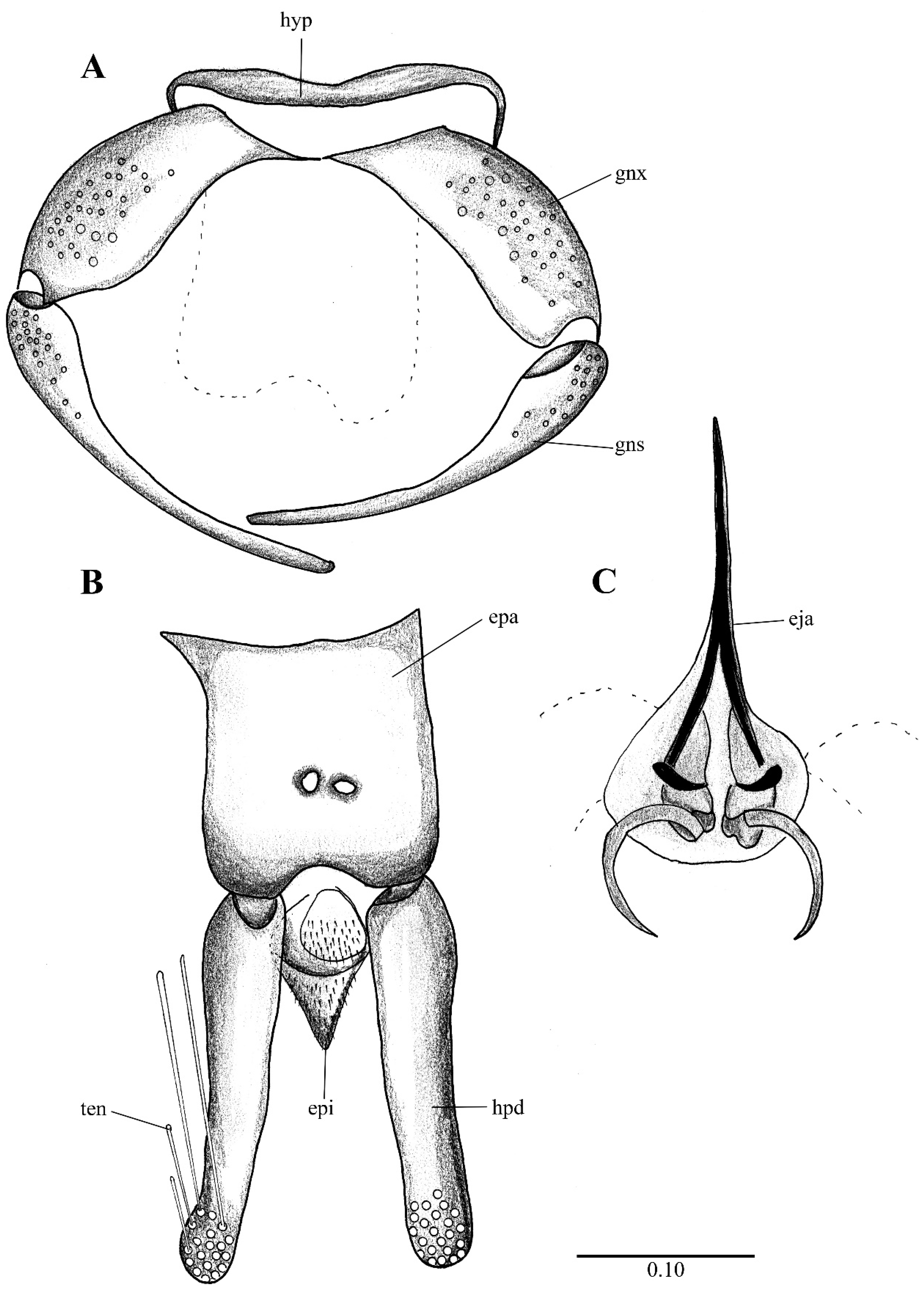 Diversity 14 00532 g012