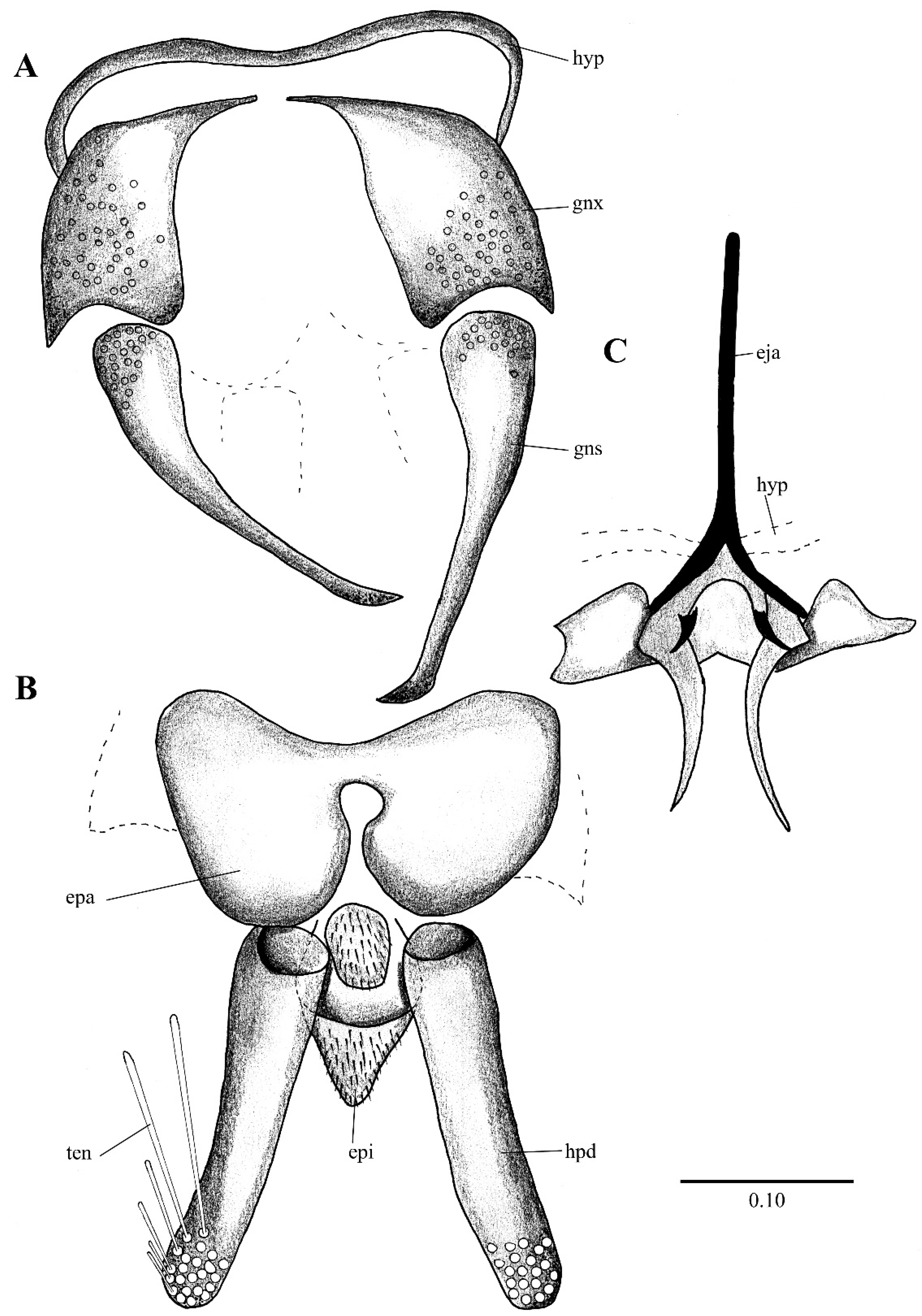 Diversity 14 00532 g013