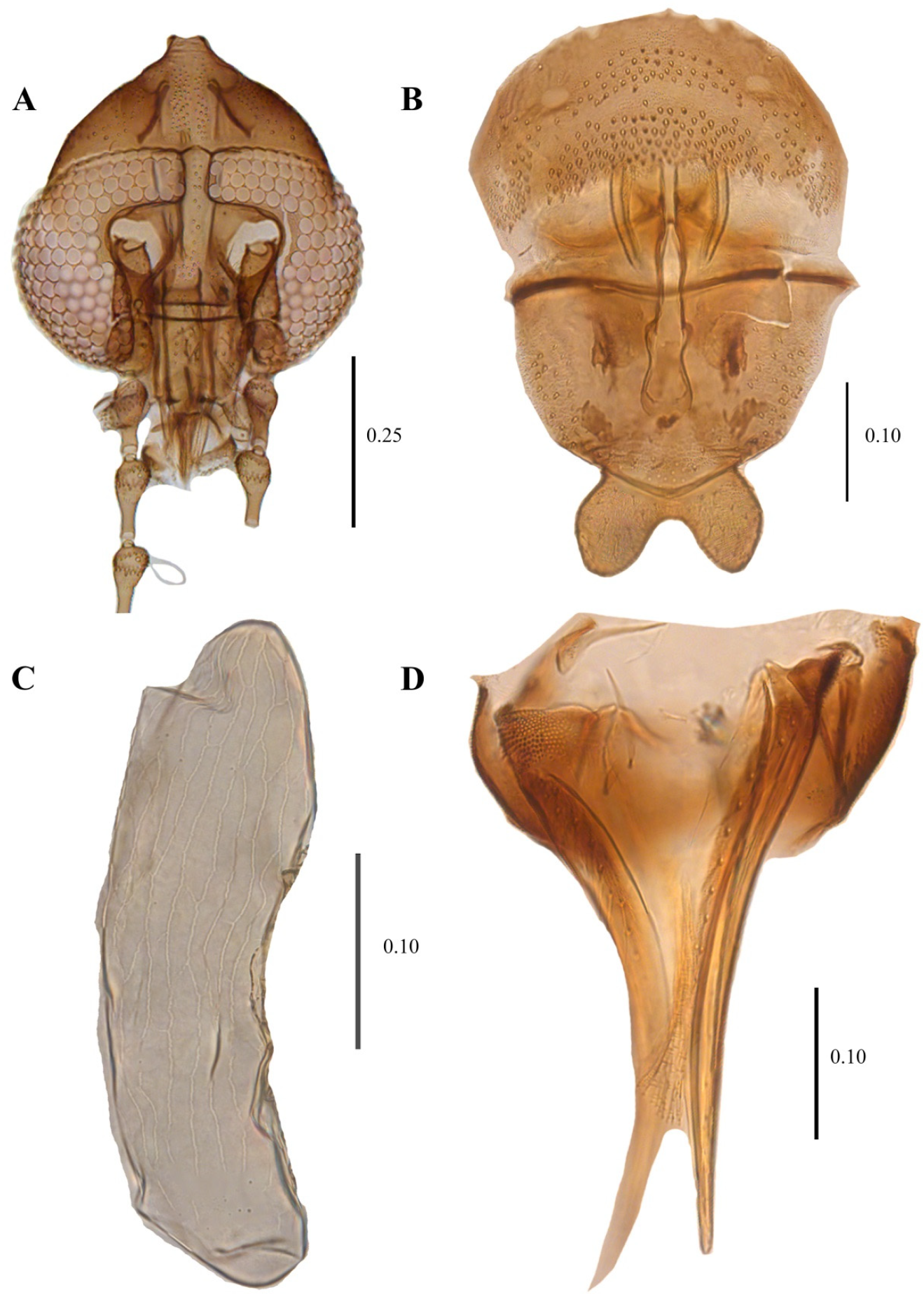 Diversity 14 00532 g015