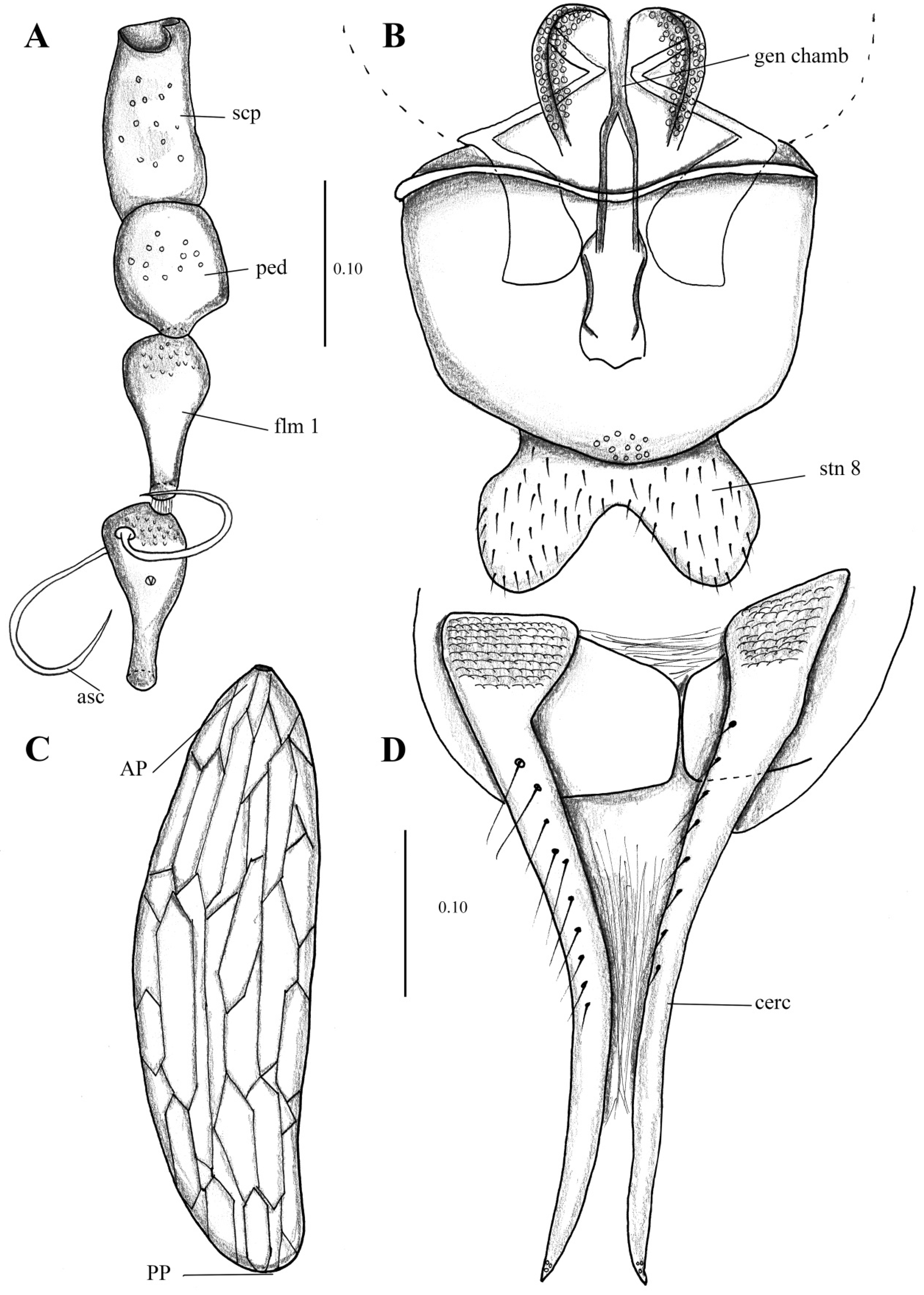 Diversity 14 00532 g016