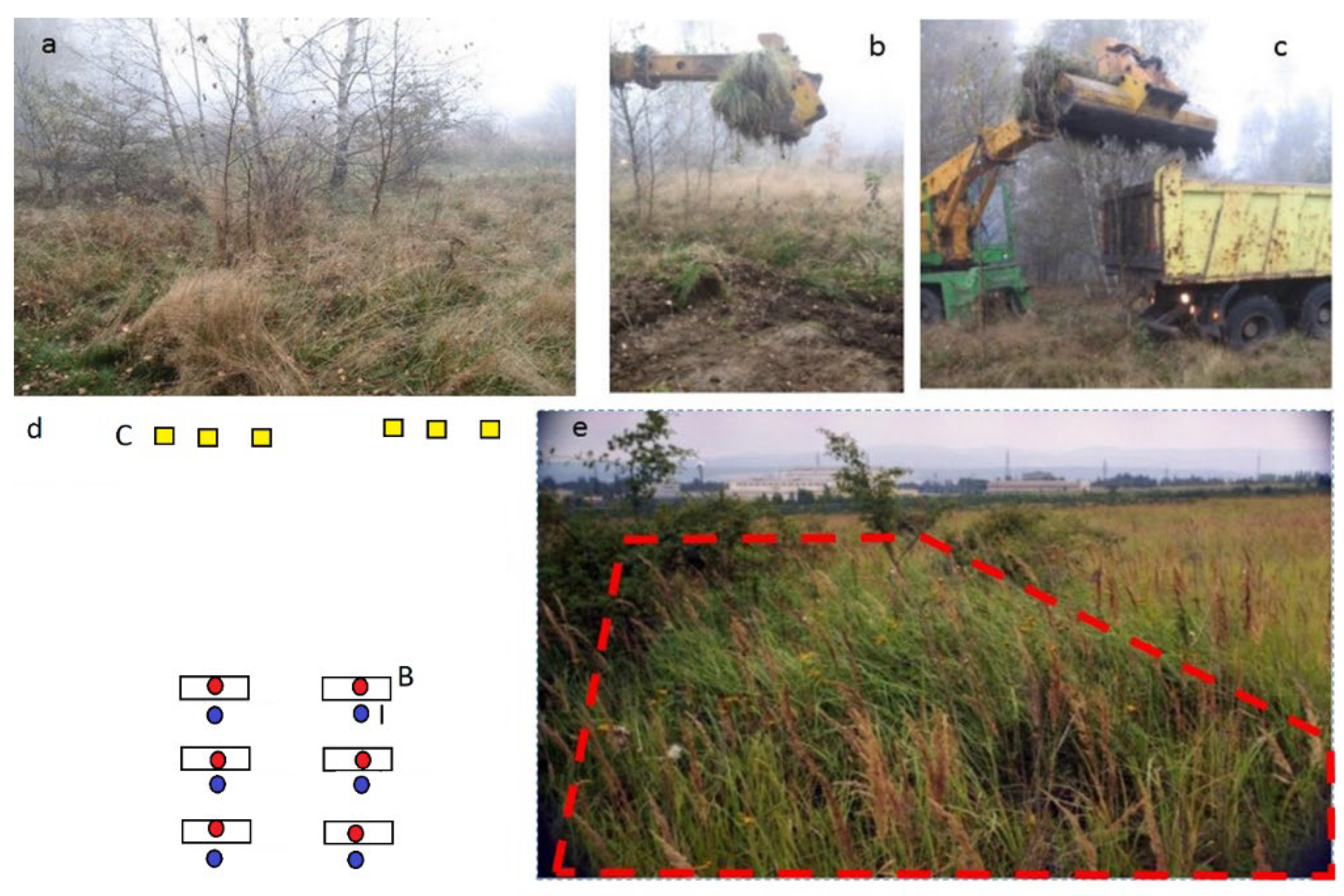 Diversity 14 00567 g001