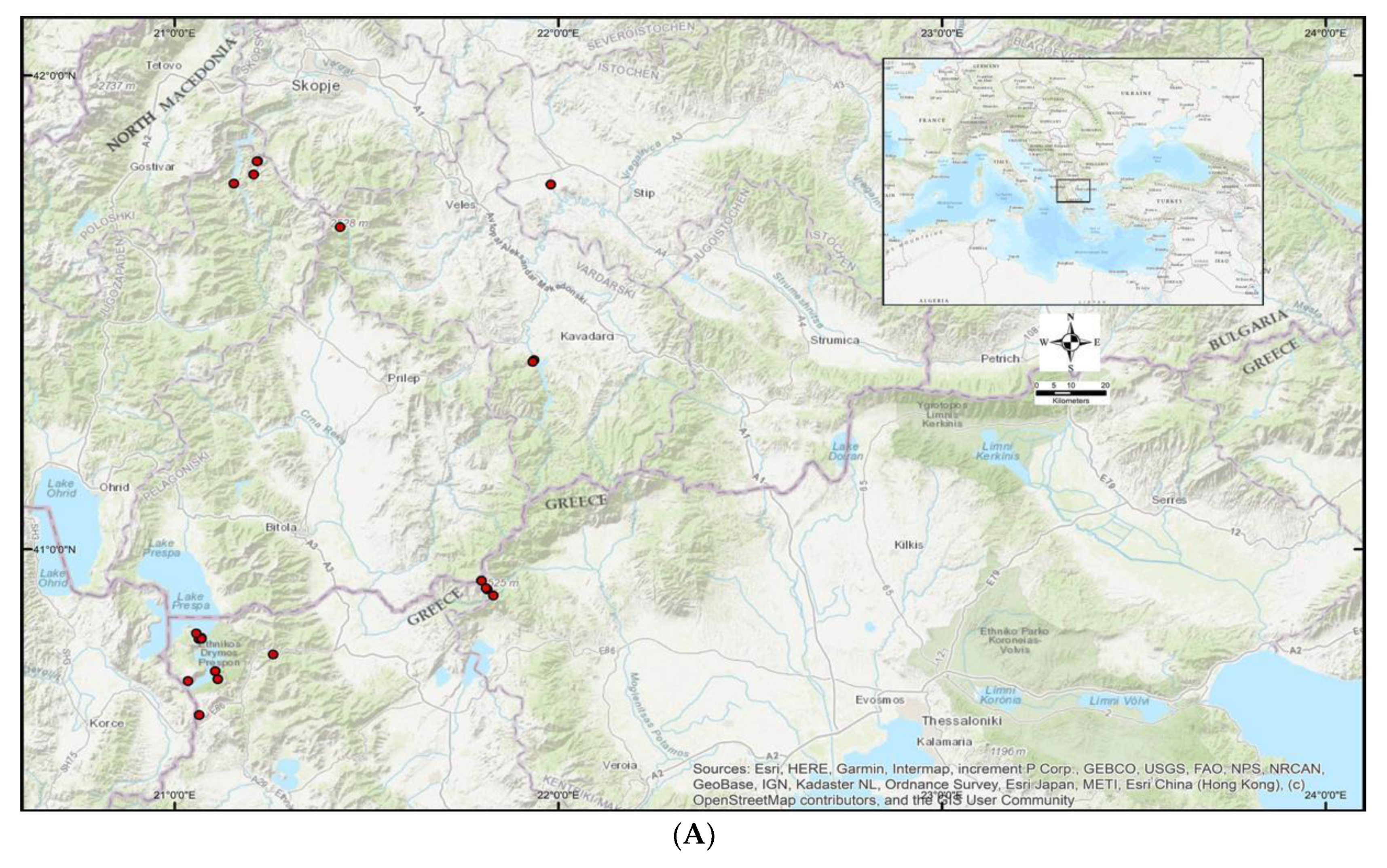 Diversity 14 00570 g001a Diversity 14 00570 g001a