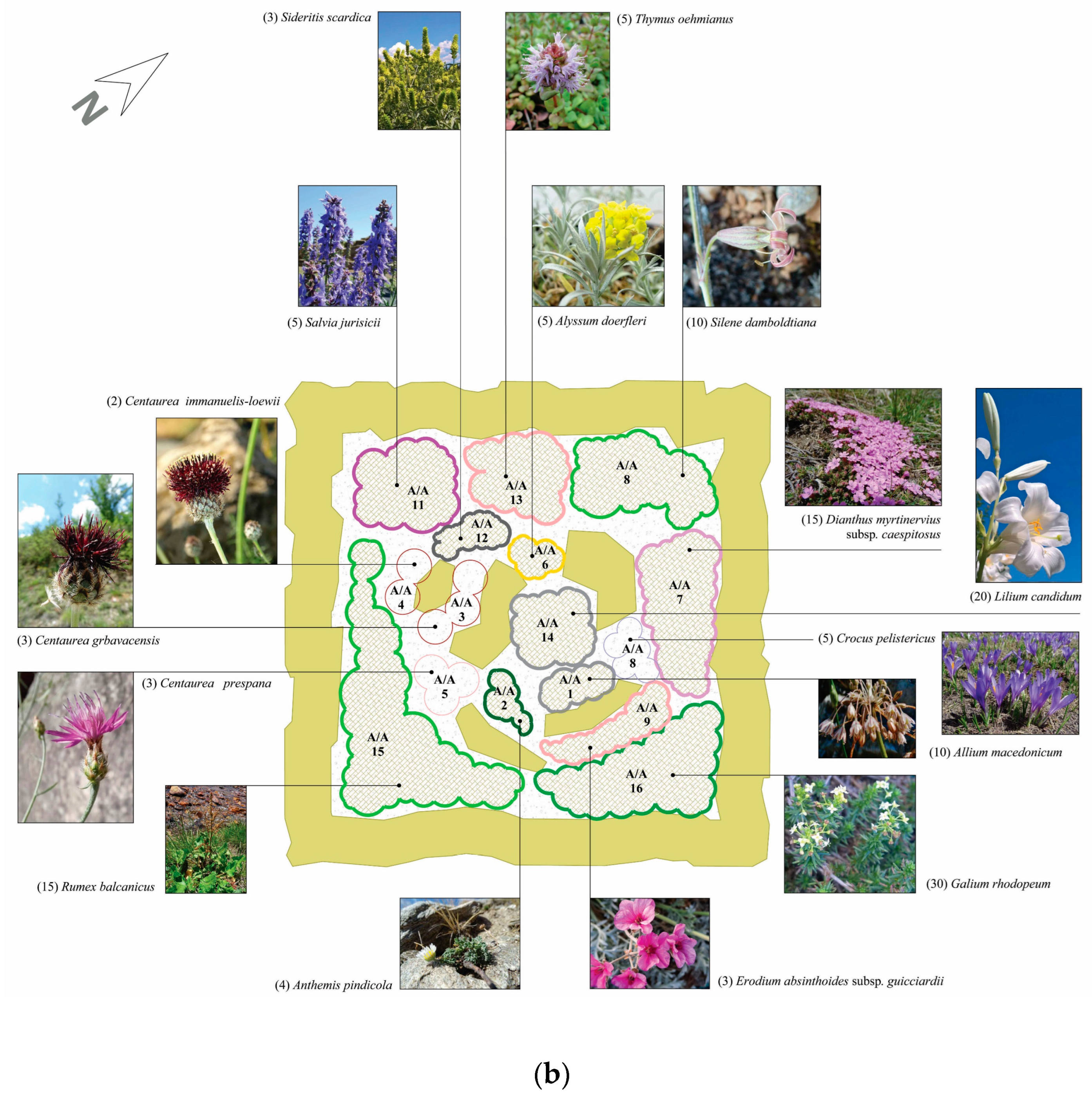 Diversity 14 00570 g008b Diversity 14 00570 g008b