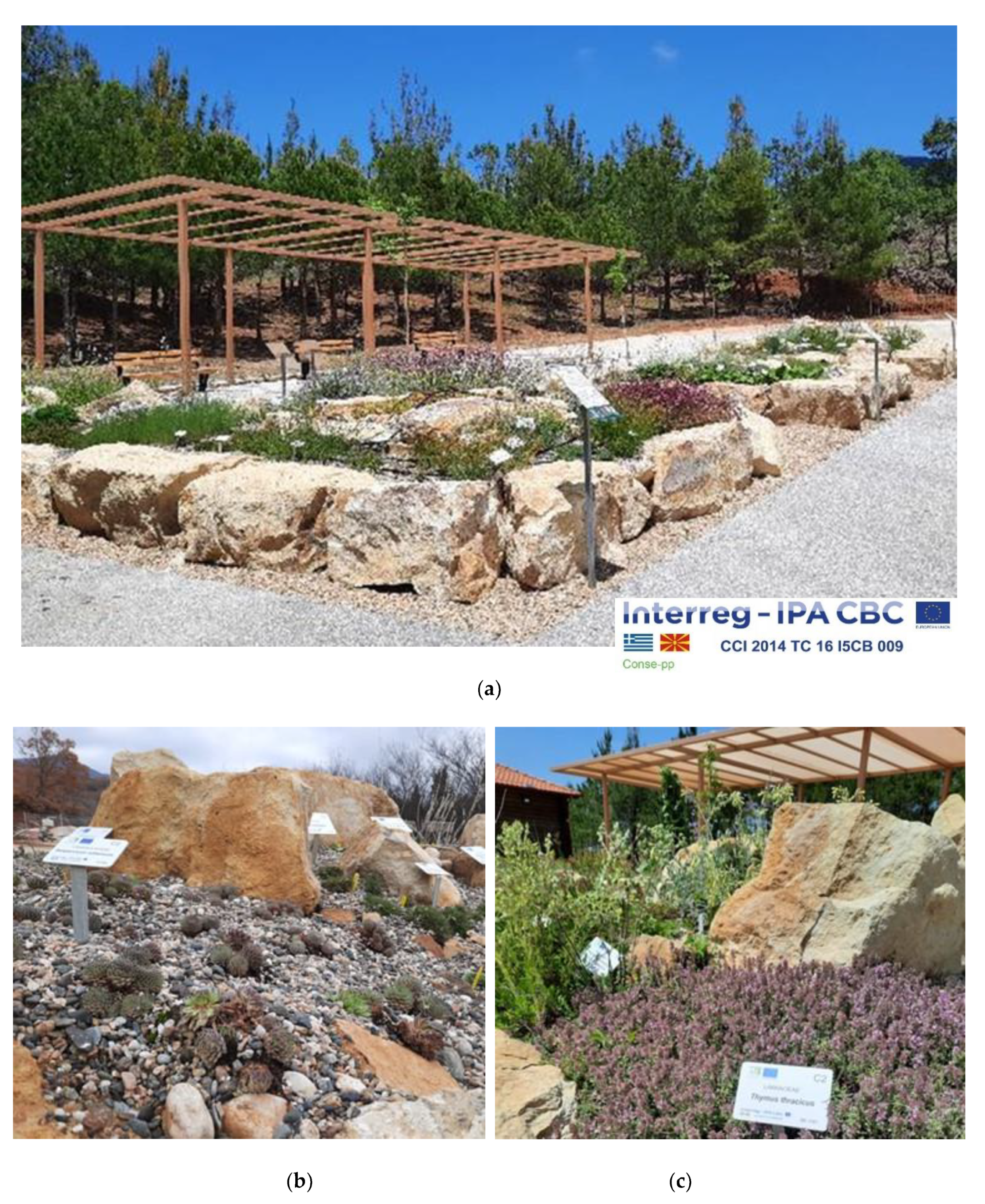 Diversity 14 00570 g009 Diversity 14 00570 g009