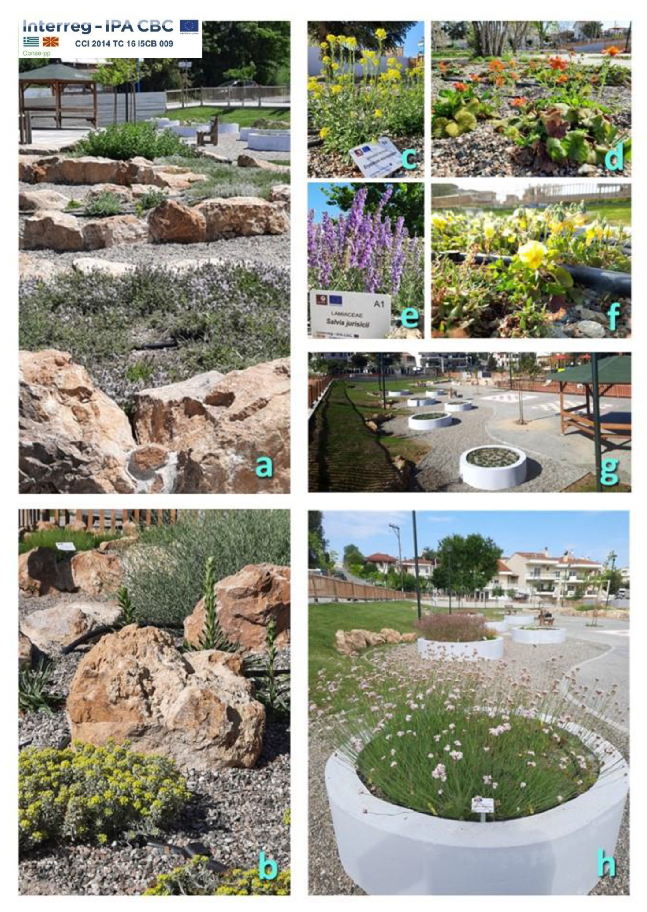 Diversity 14 00570 g011 Diversity 14 00570 g011