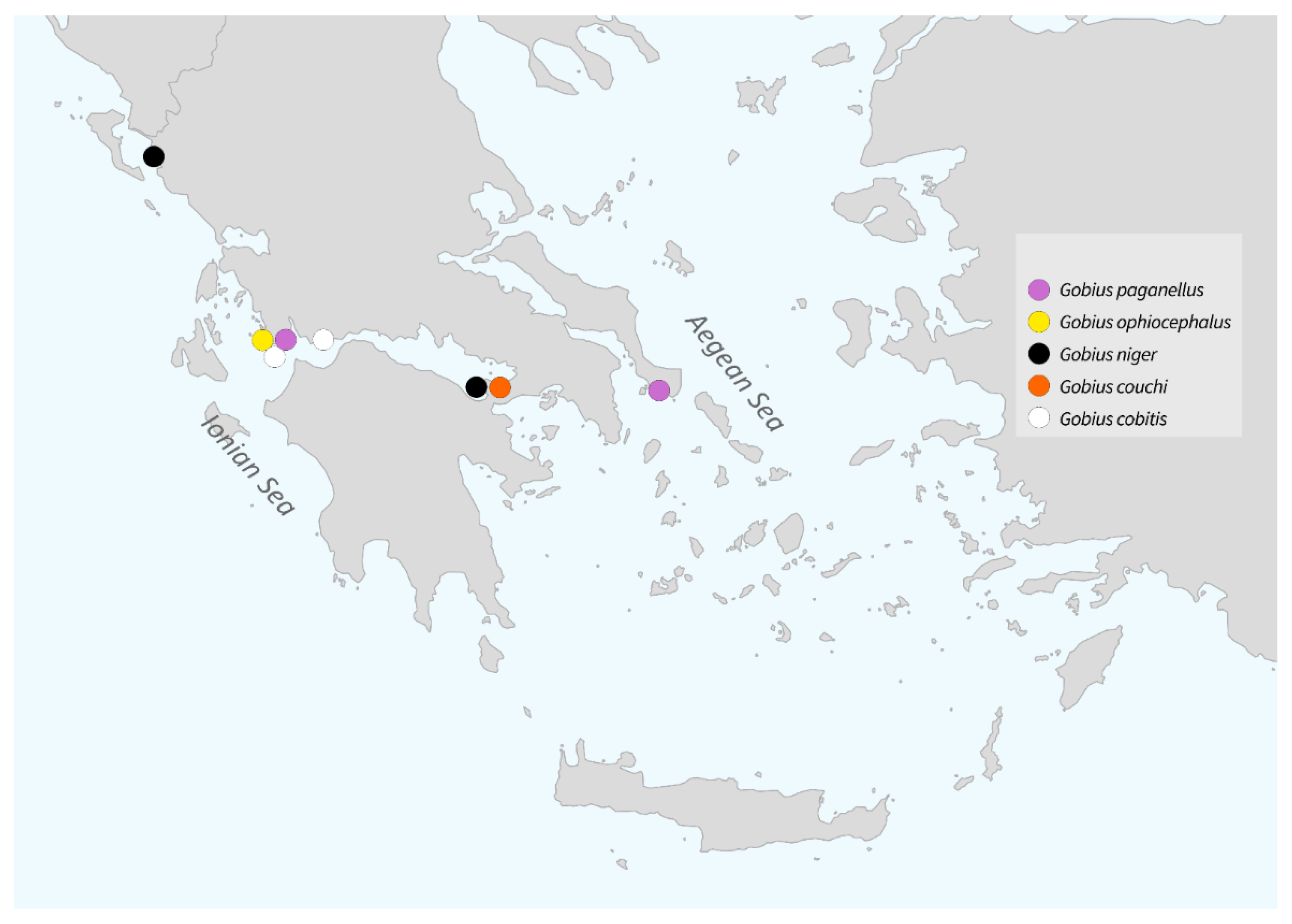 Diversity 14 00580 g002