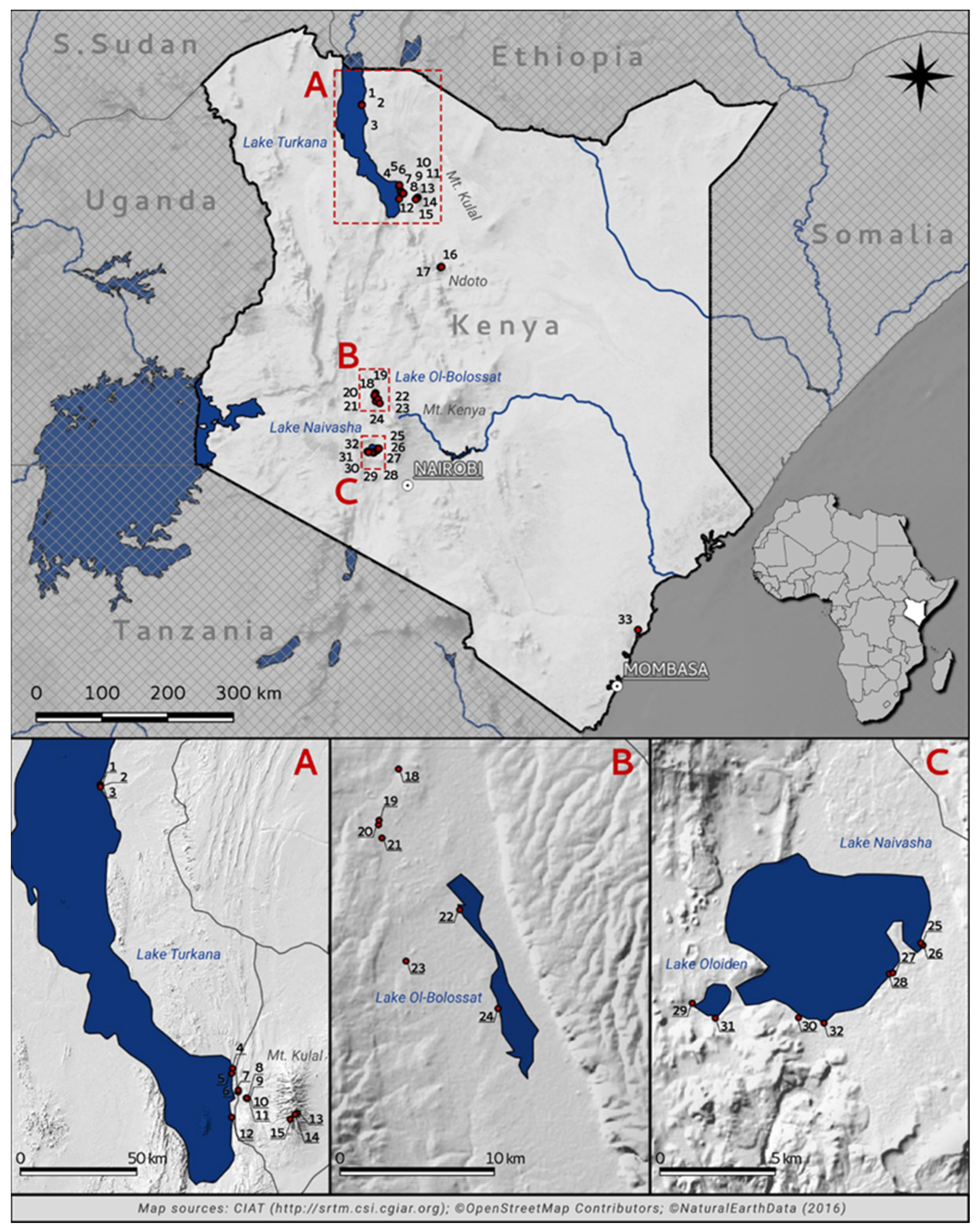Diversity 14 00583 g001