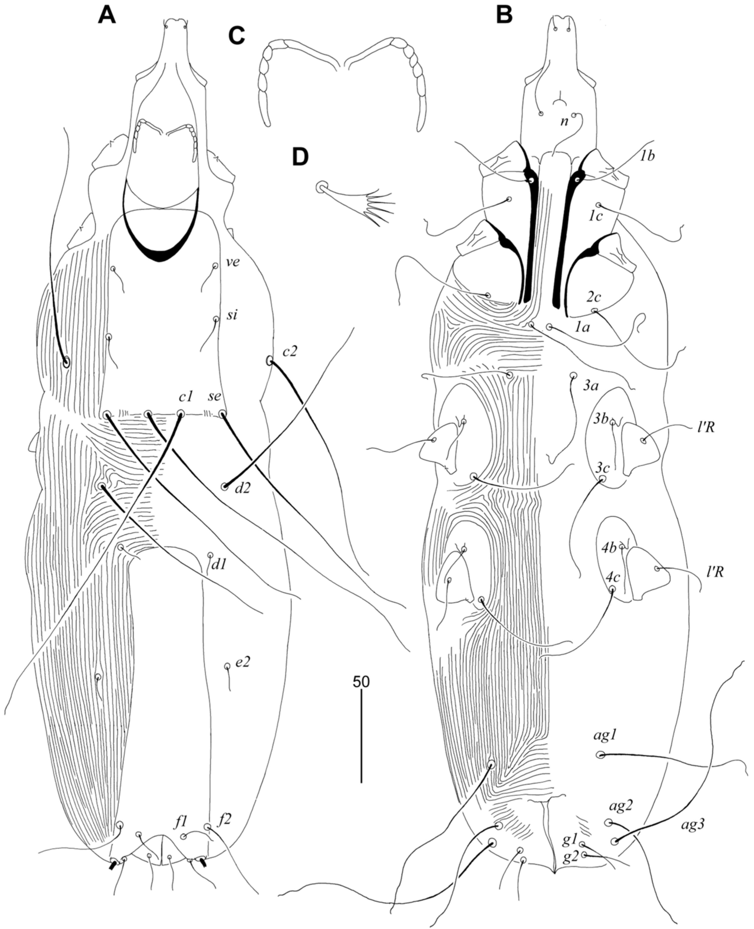 Diversity 14 00585 g001