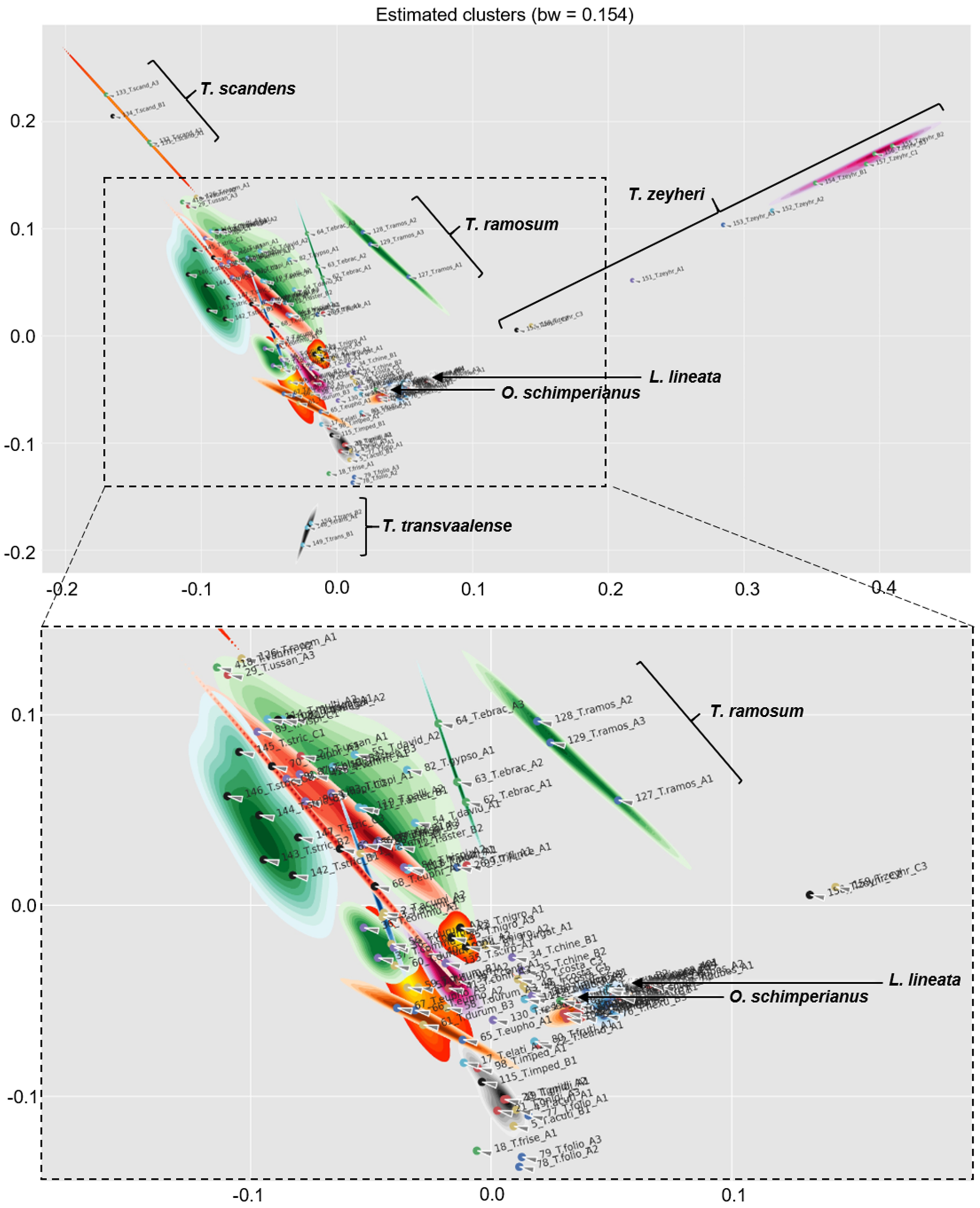Diversity 14 00590 g001
