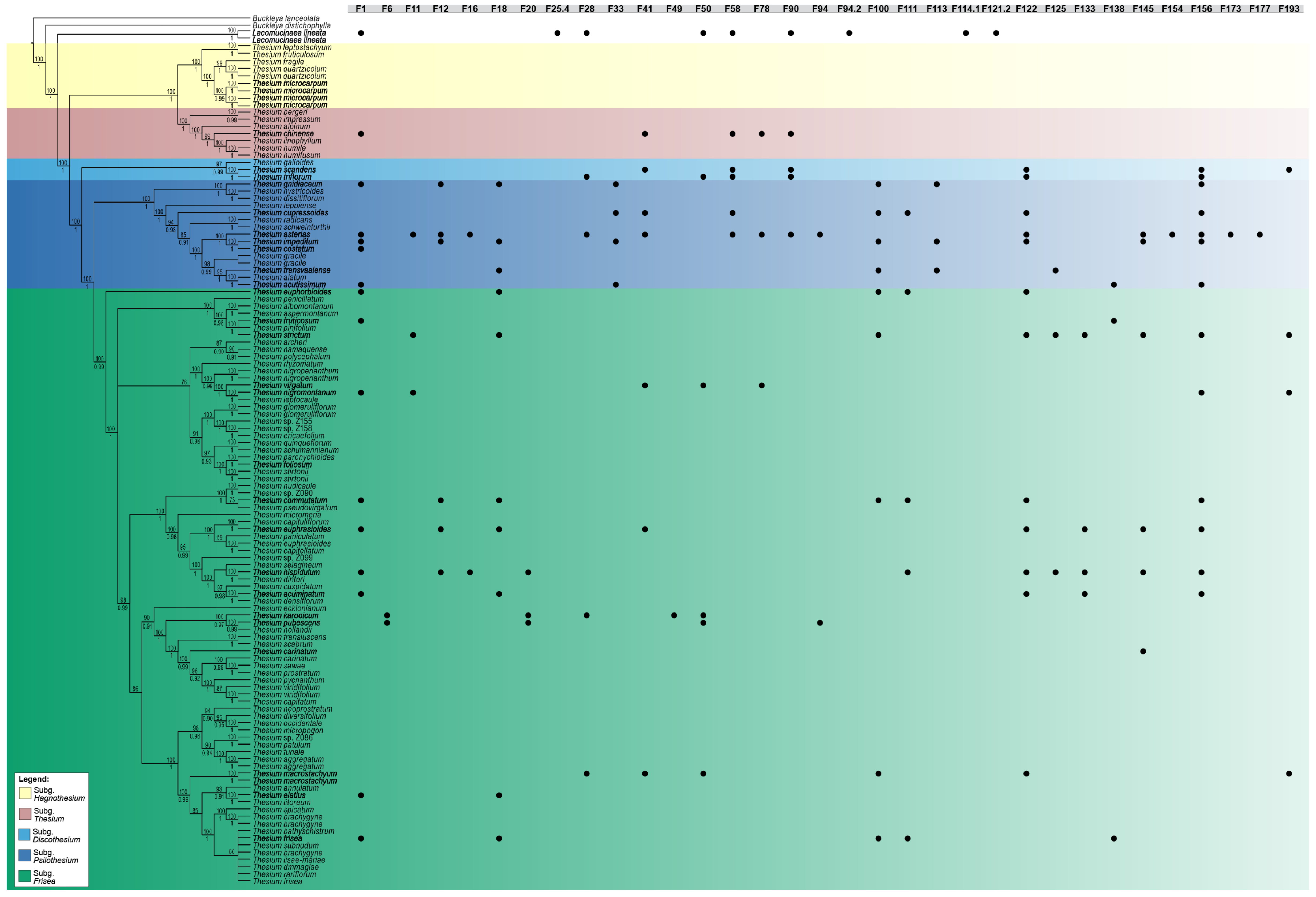 Diversity 14 00590 g003